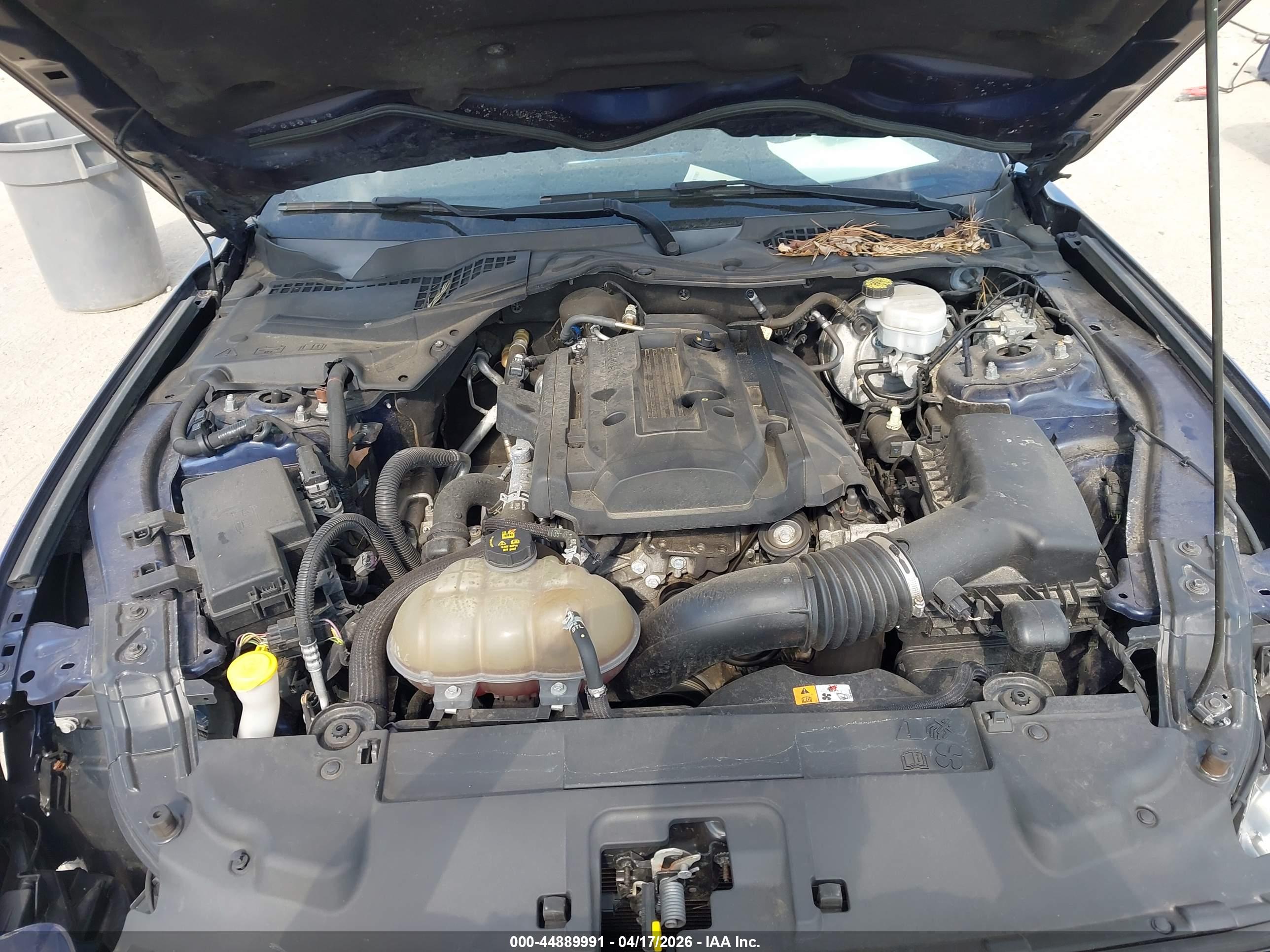 FORD MUSTANG image 10