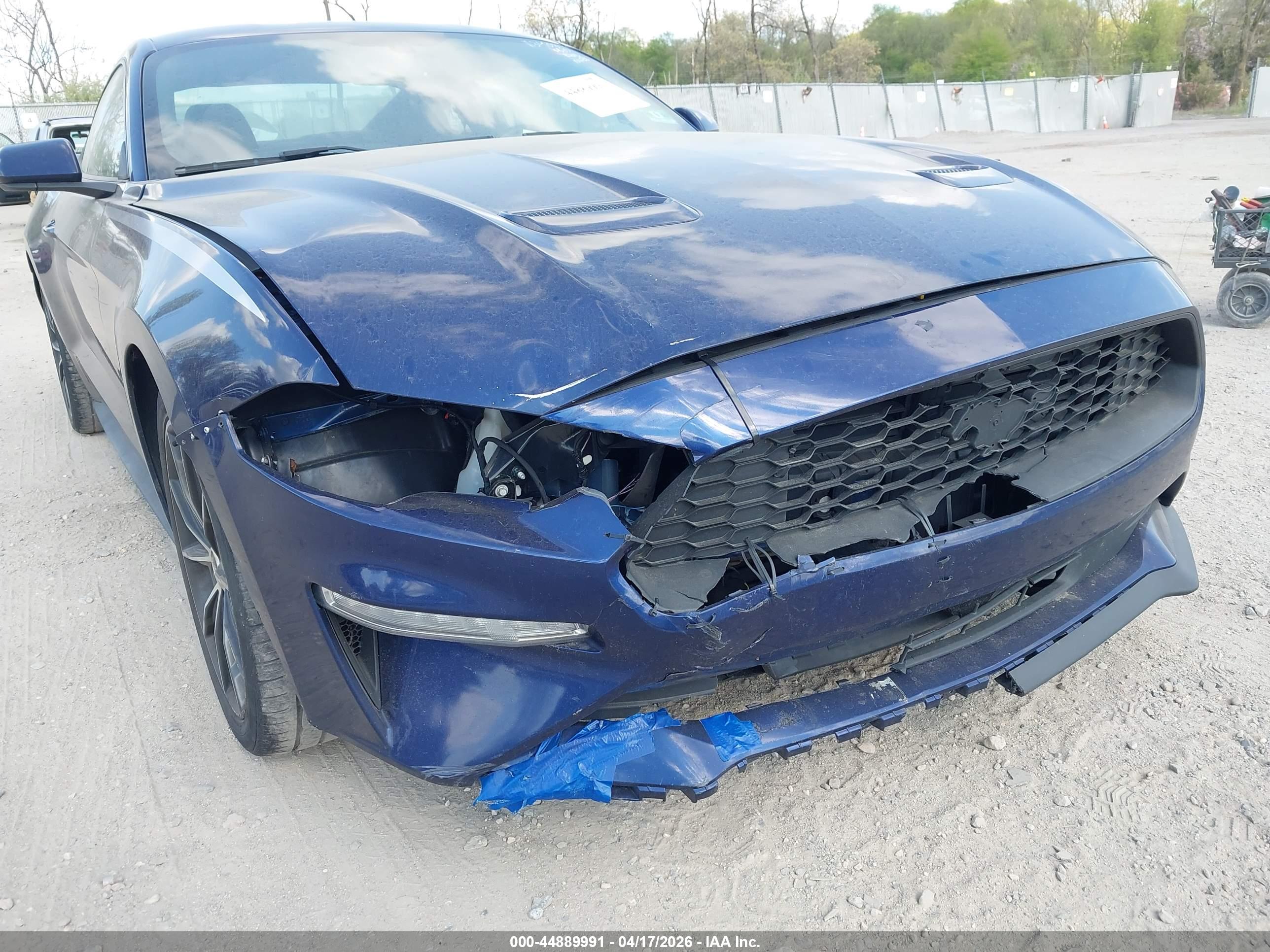FORD MUSTANG image 6
