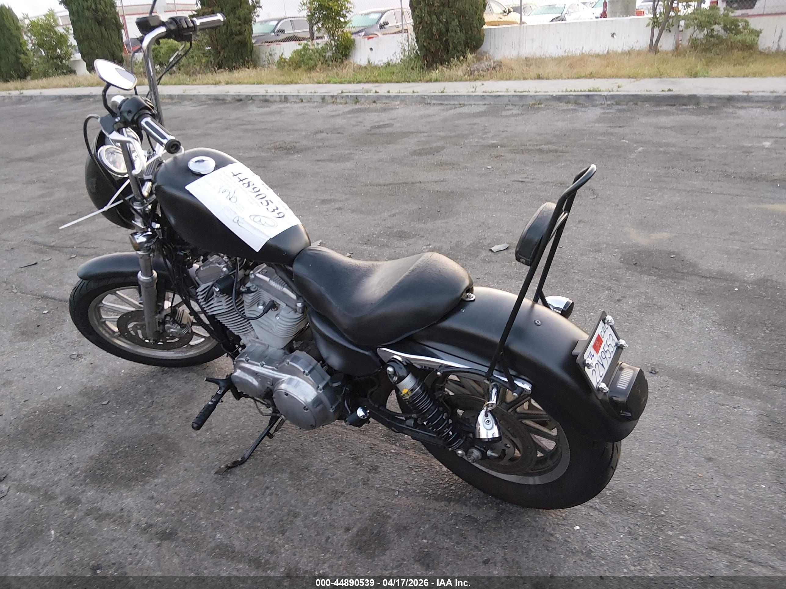 HARLEY-DAVIDSON XL883 image 3