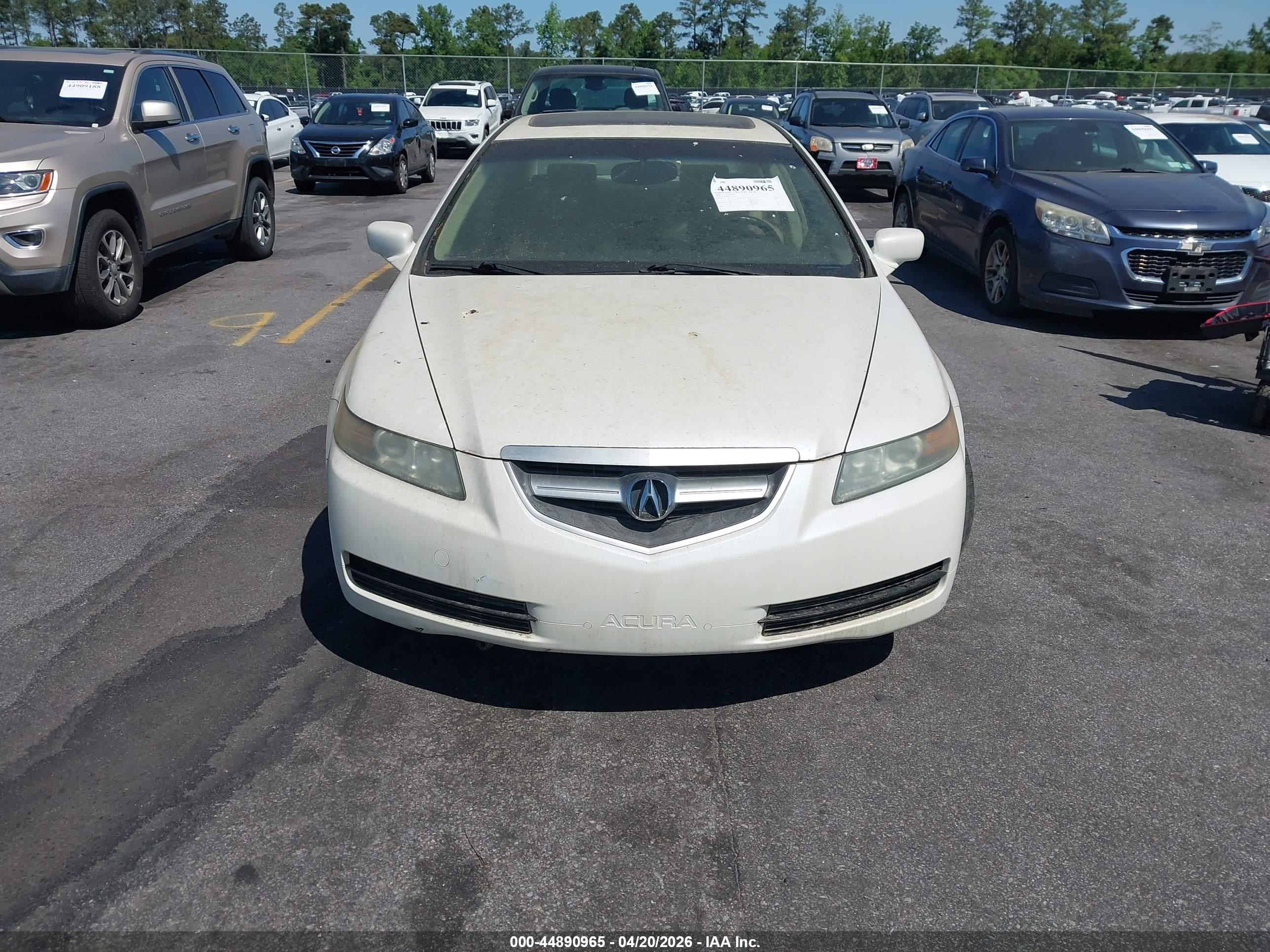 ACURA TL image 6