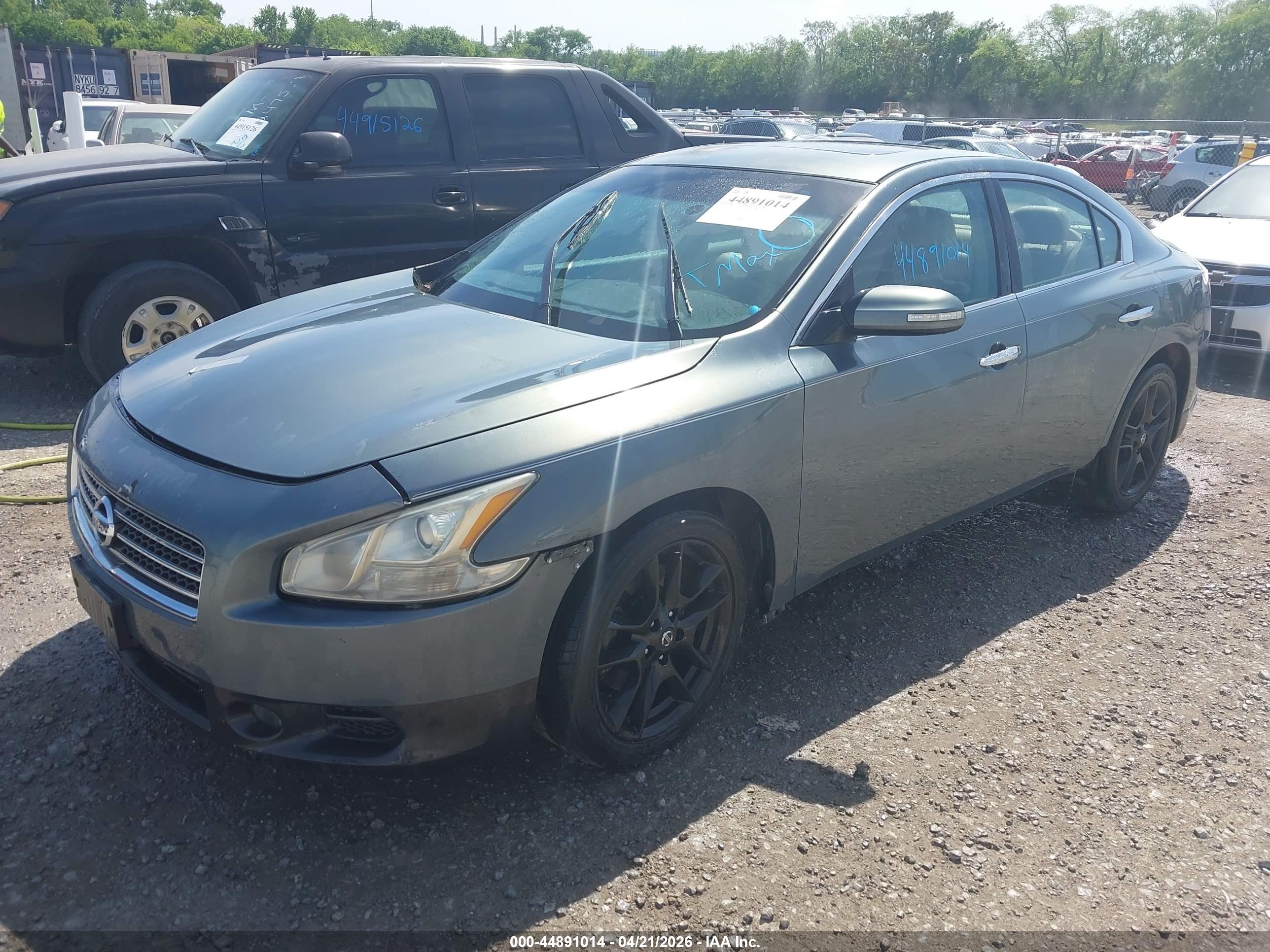 NISSAN MAXIMA image 2