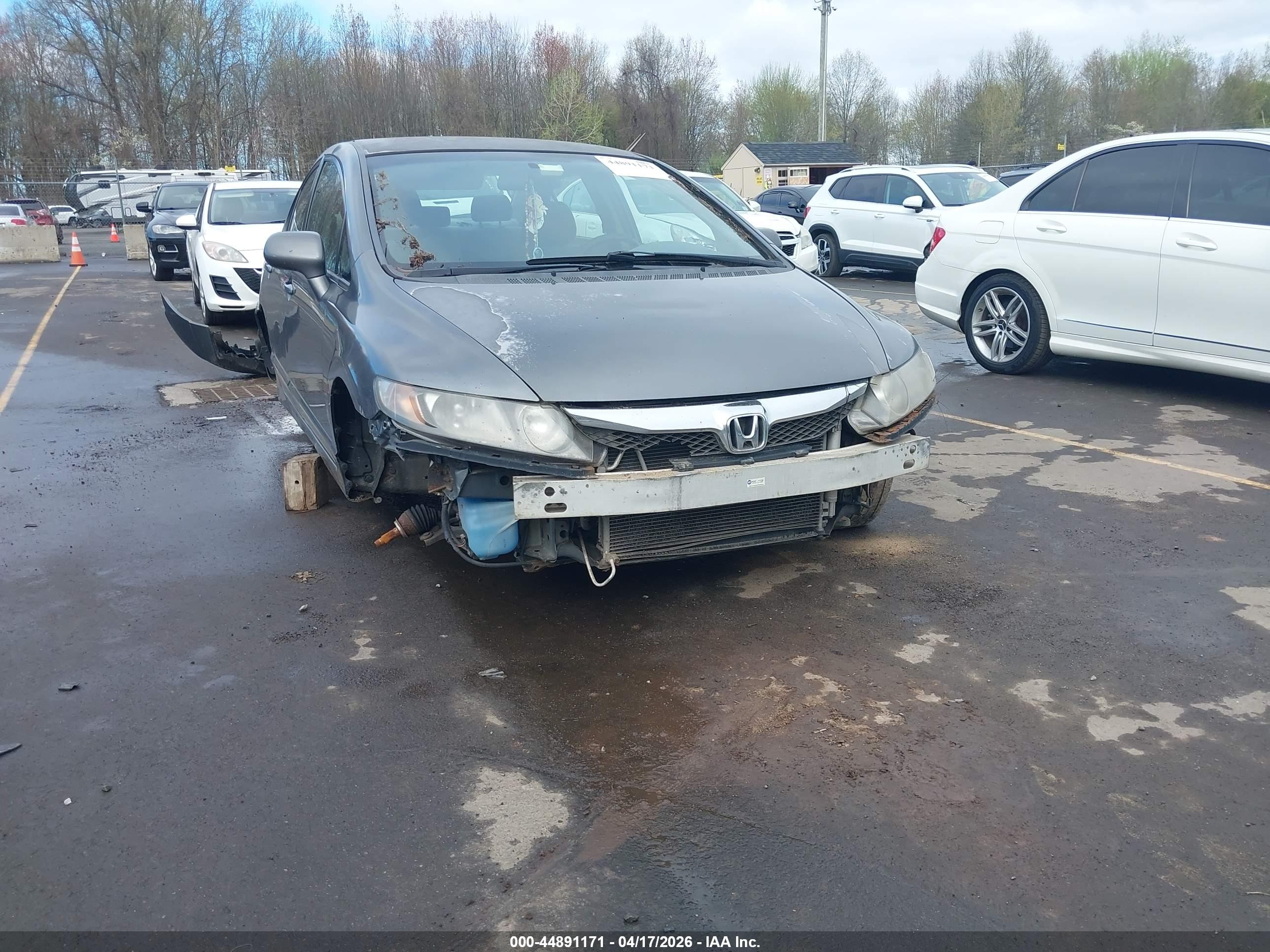 HONDA CIVIC image 6