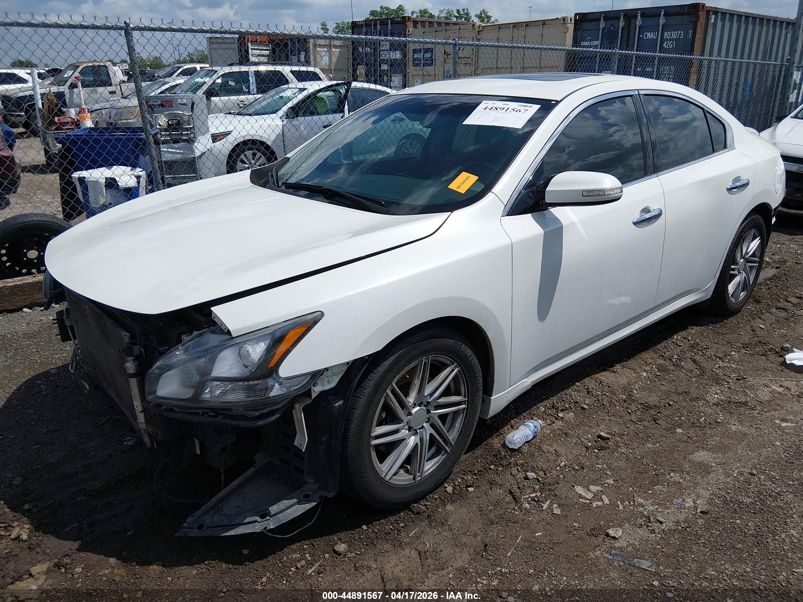 NISSAN MAXIMA image 2