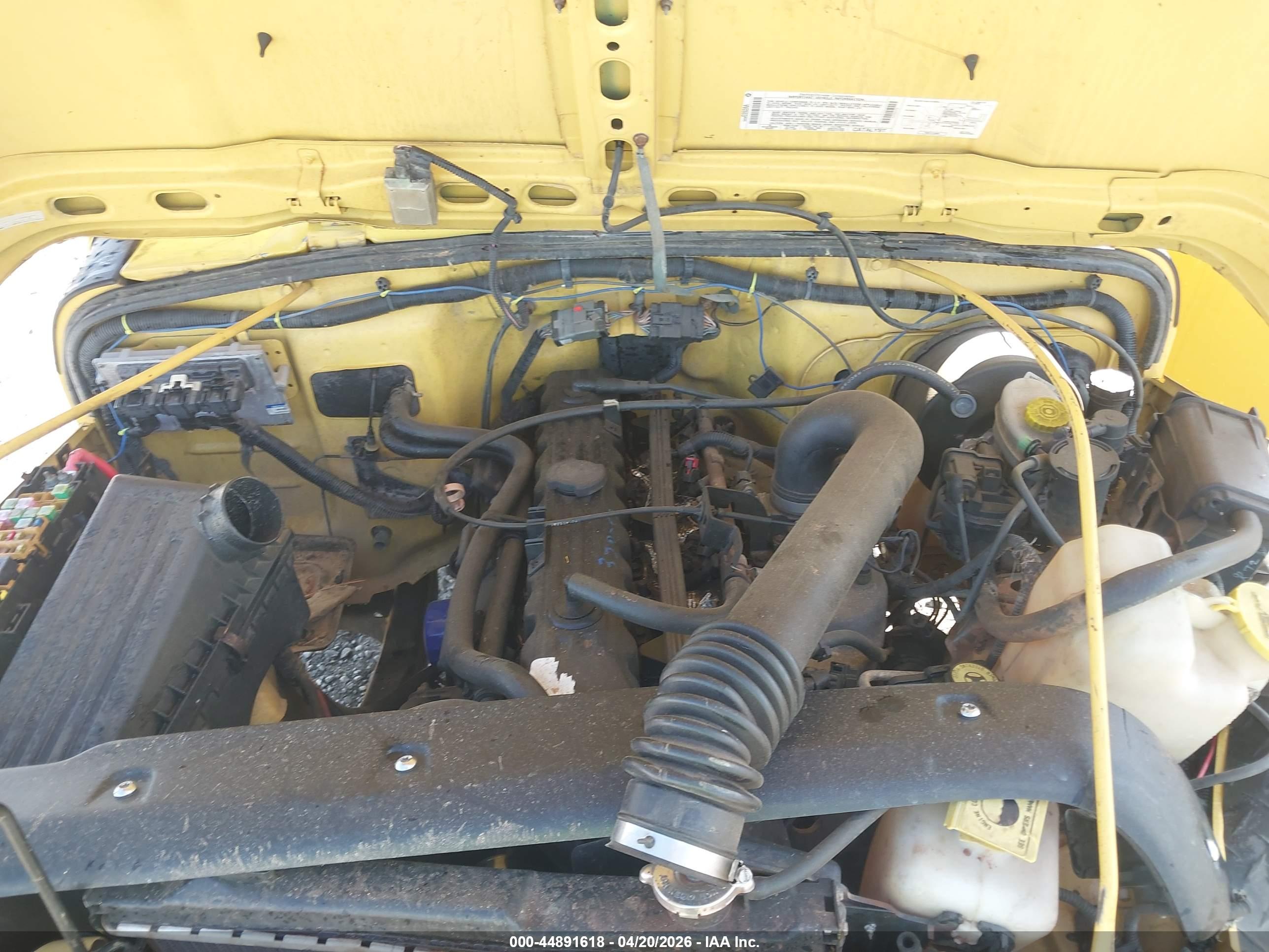 JEEP WRANGLER image 10