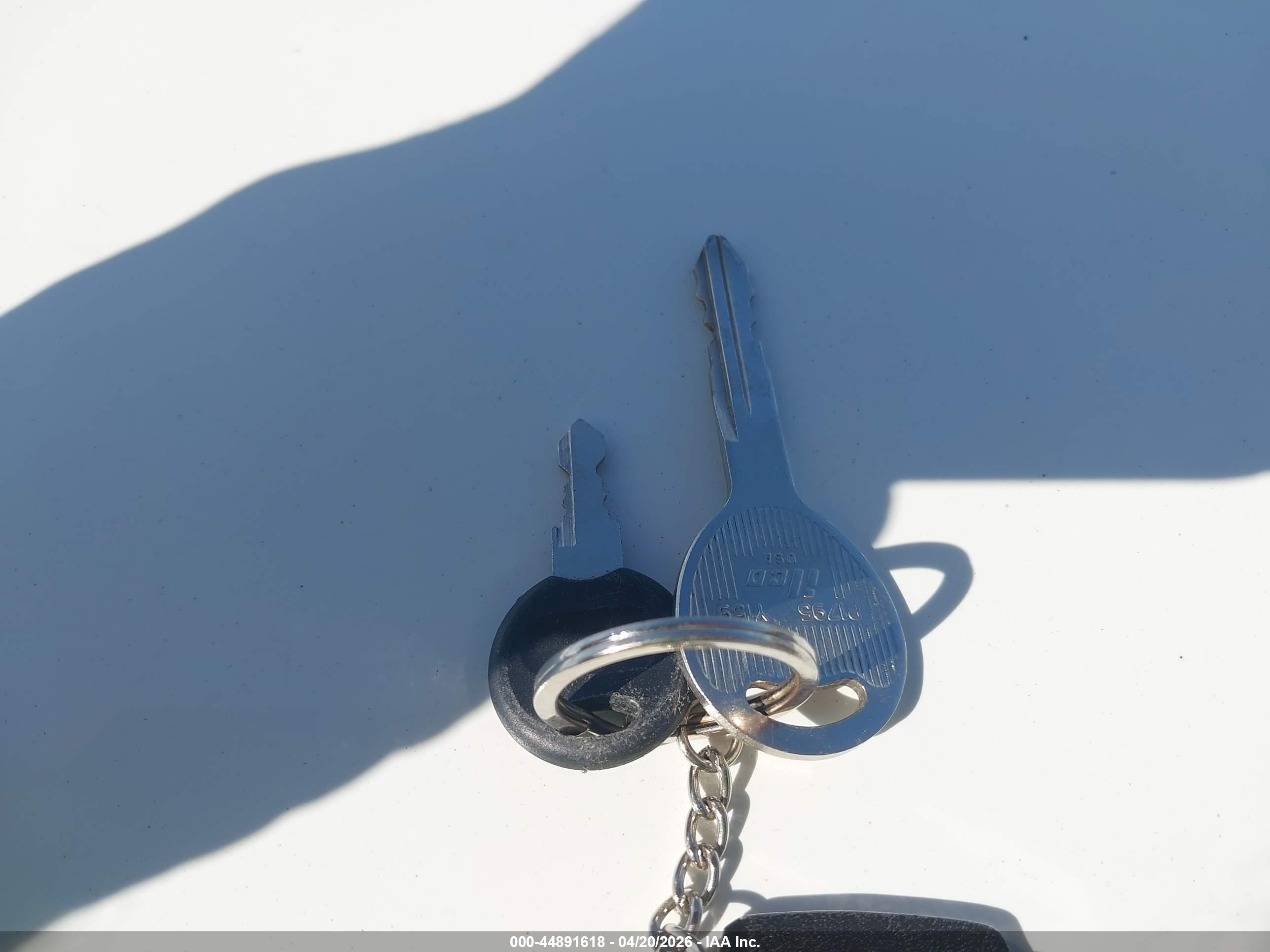 JEEP WRANGLER image 11