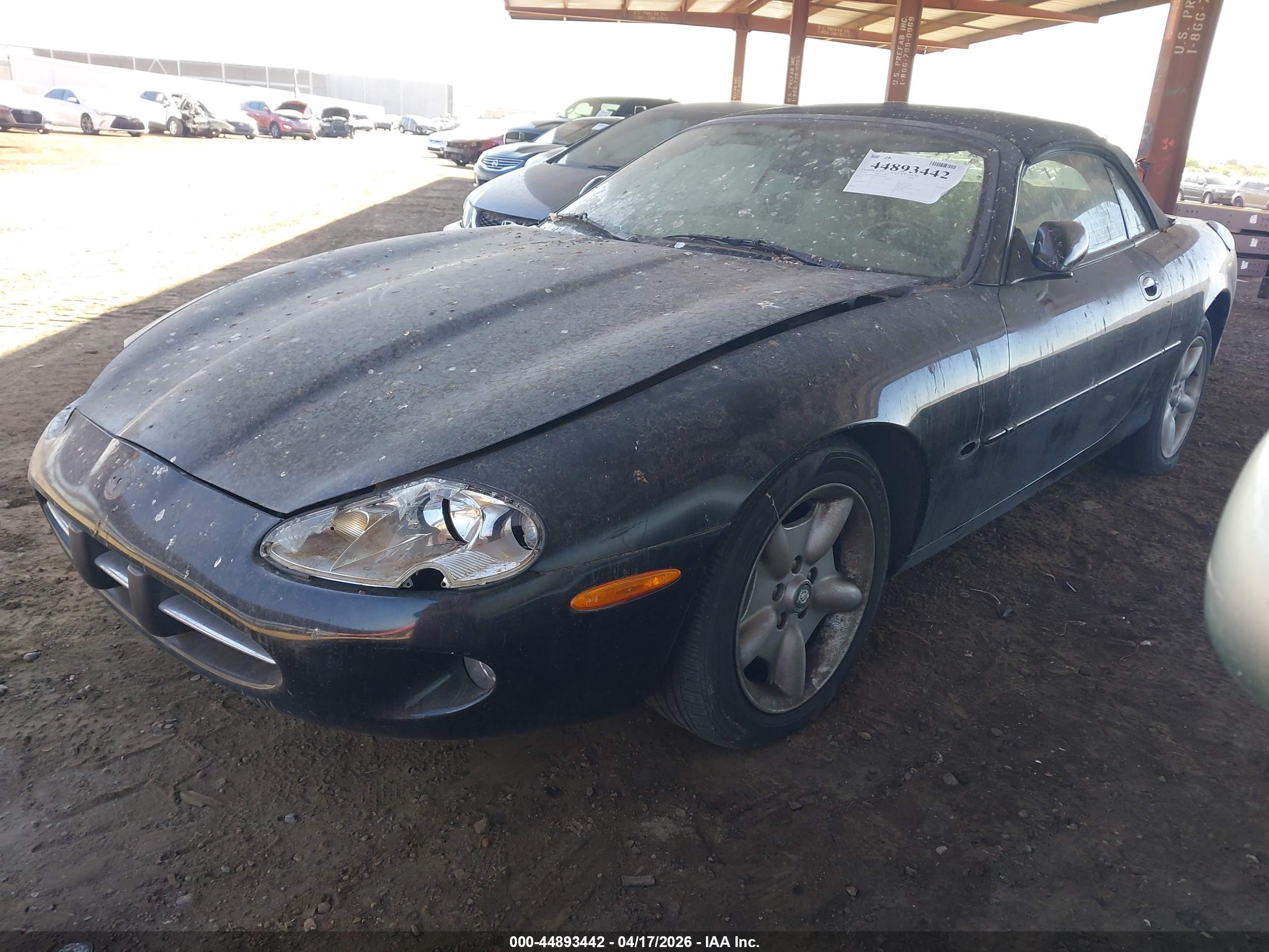 JAGUAR XK8 image 2