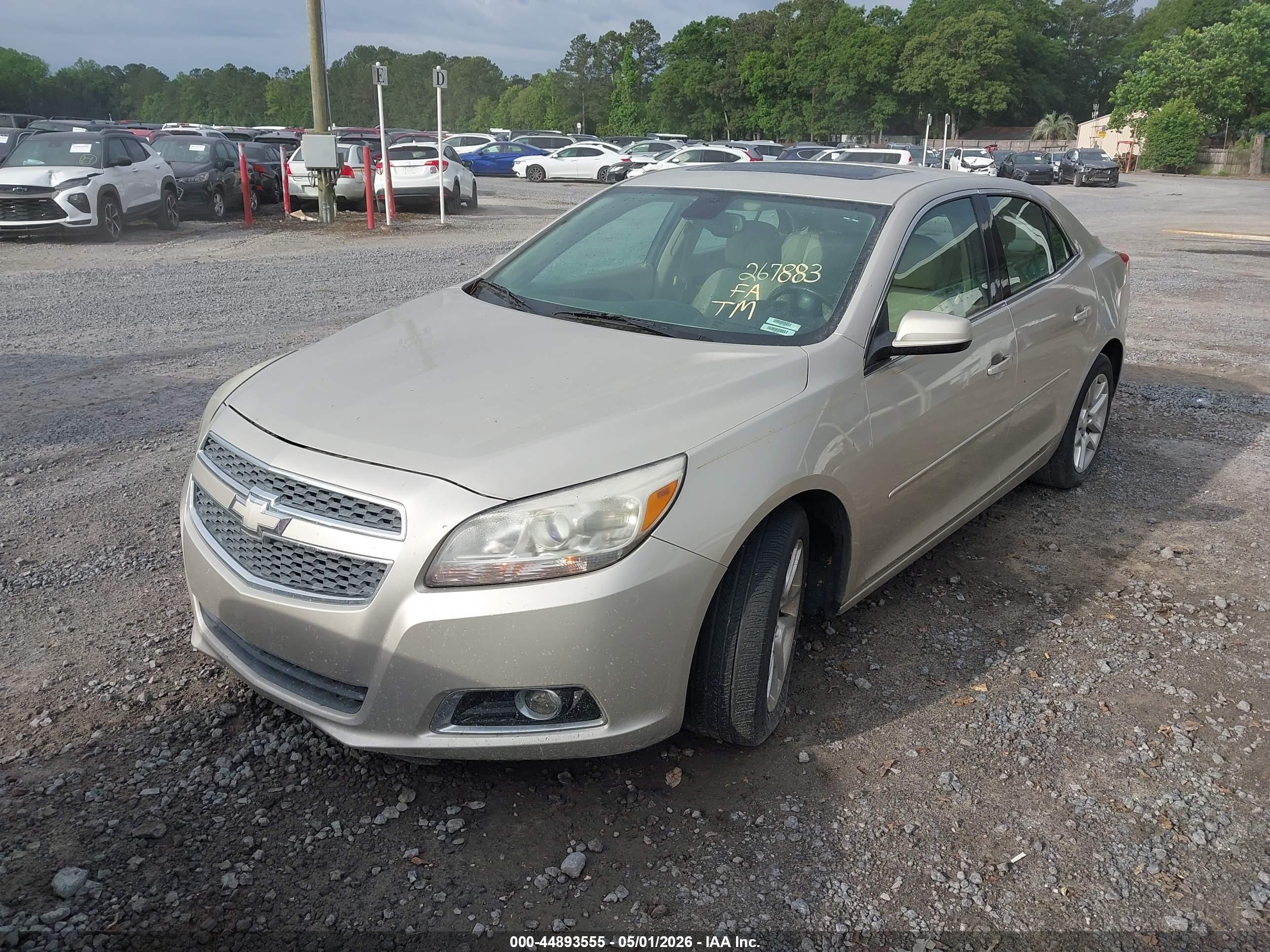 CHEVROLET MALIBU image 6