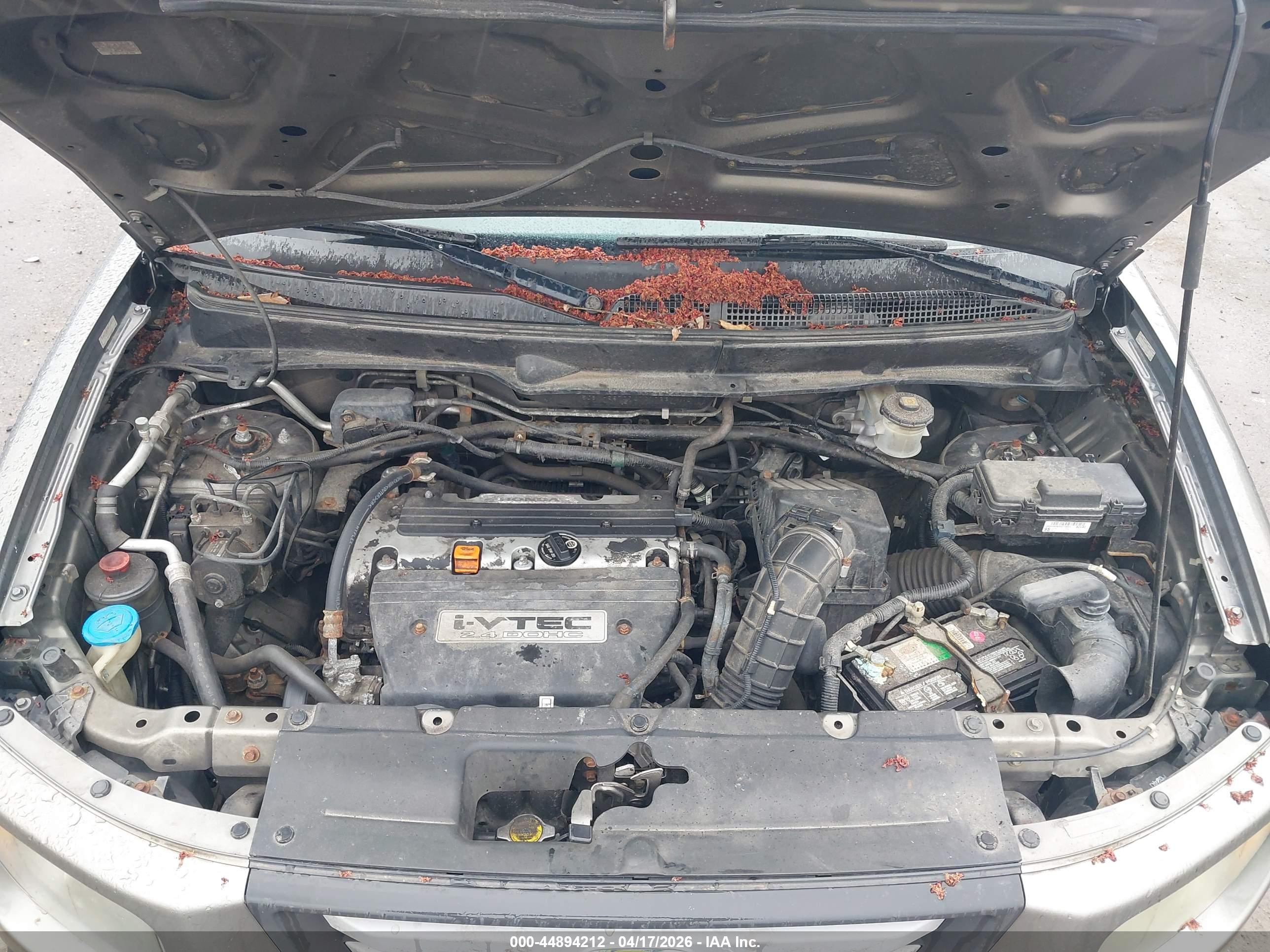 HONDA ELEMENT image 10