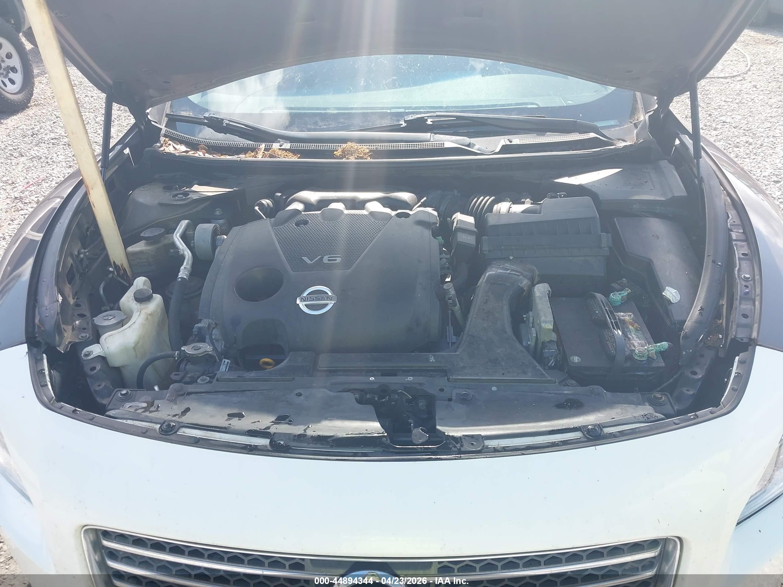 NISSAN MAXIMA image 10