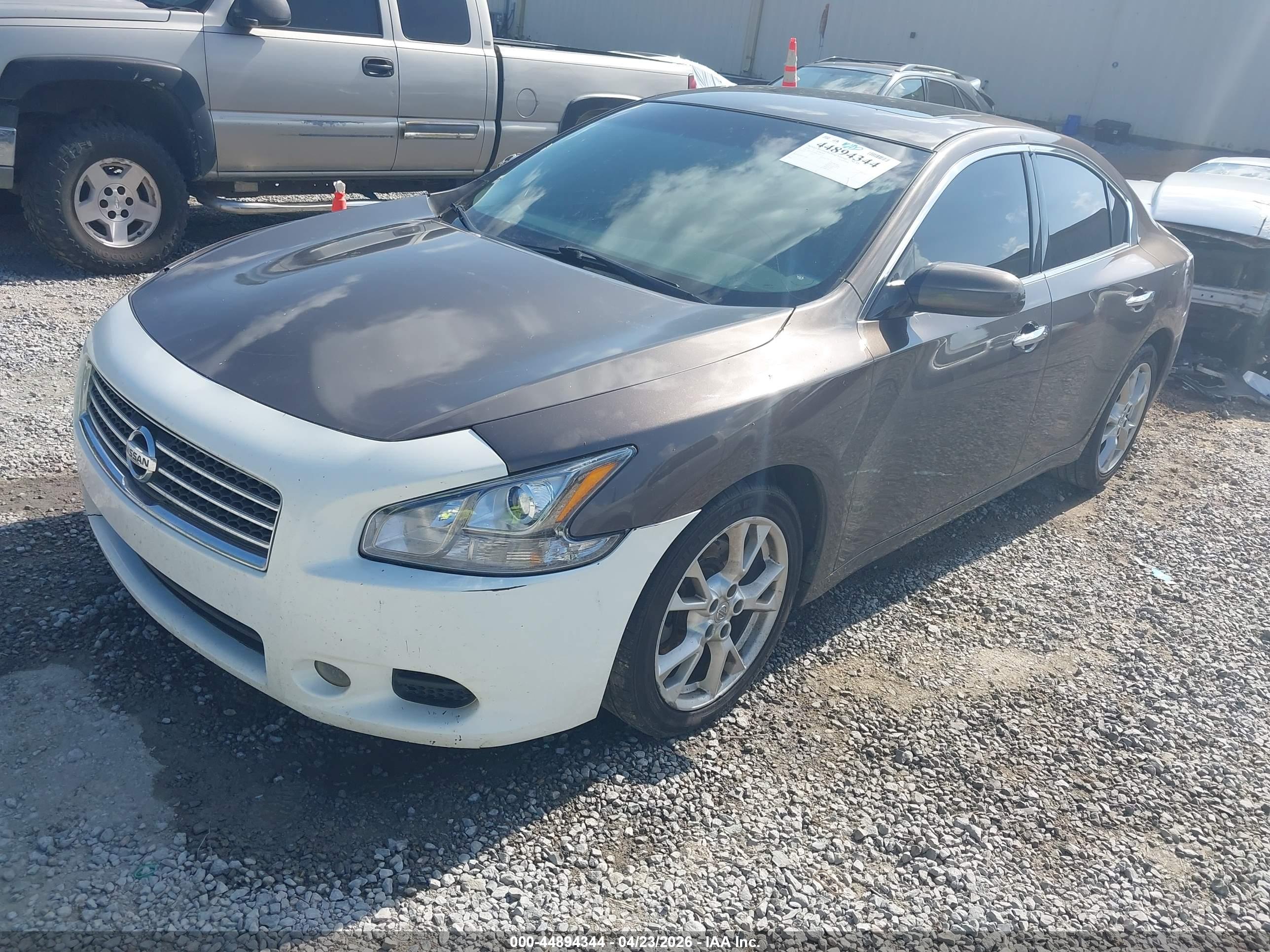 NISSAN MAXIMA image 2