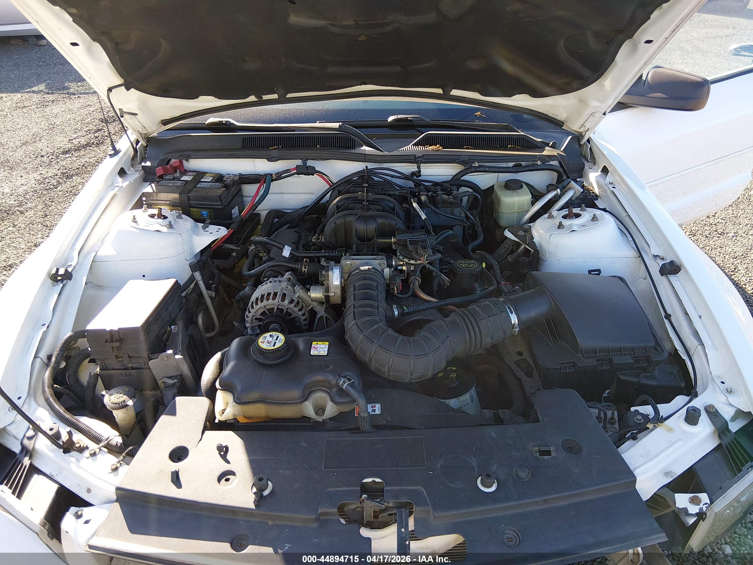 FORD MUSTANG image 10