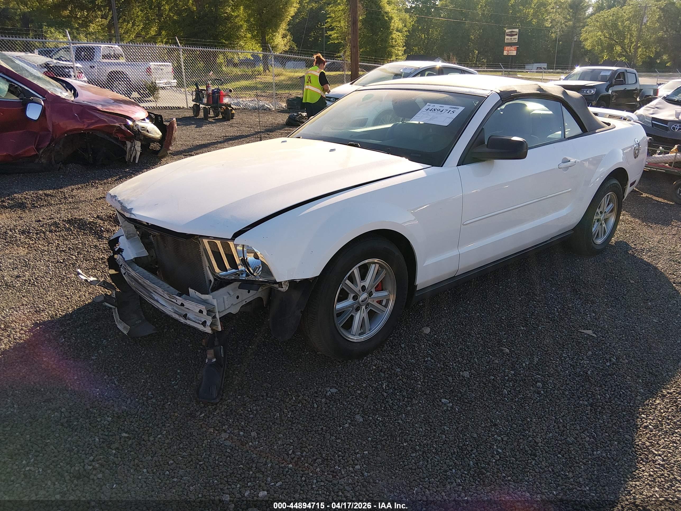 FORD MUSTANG image 2