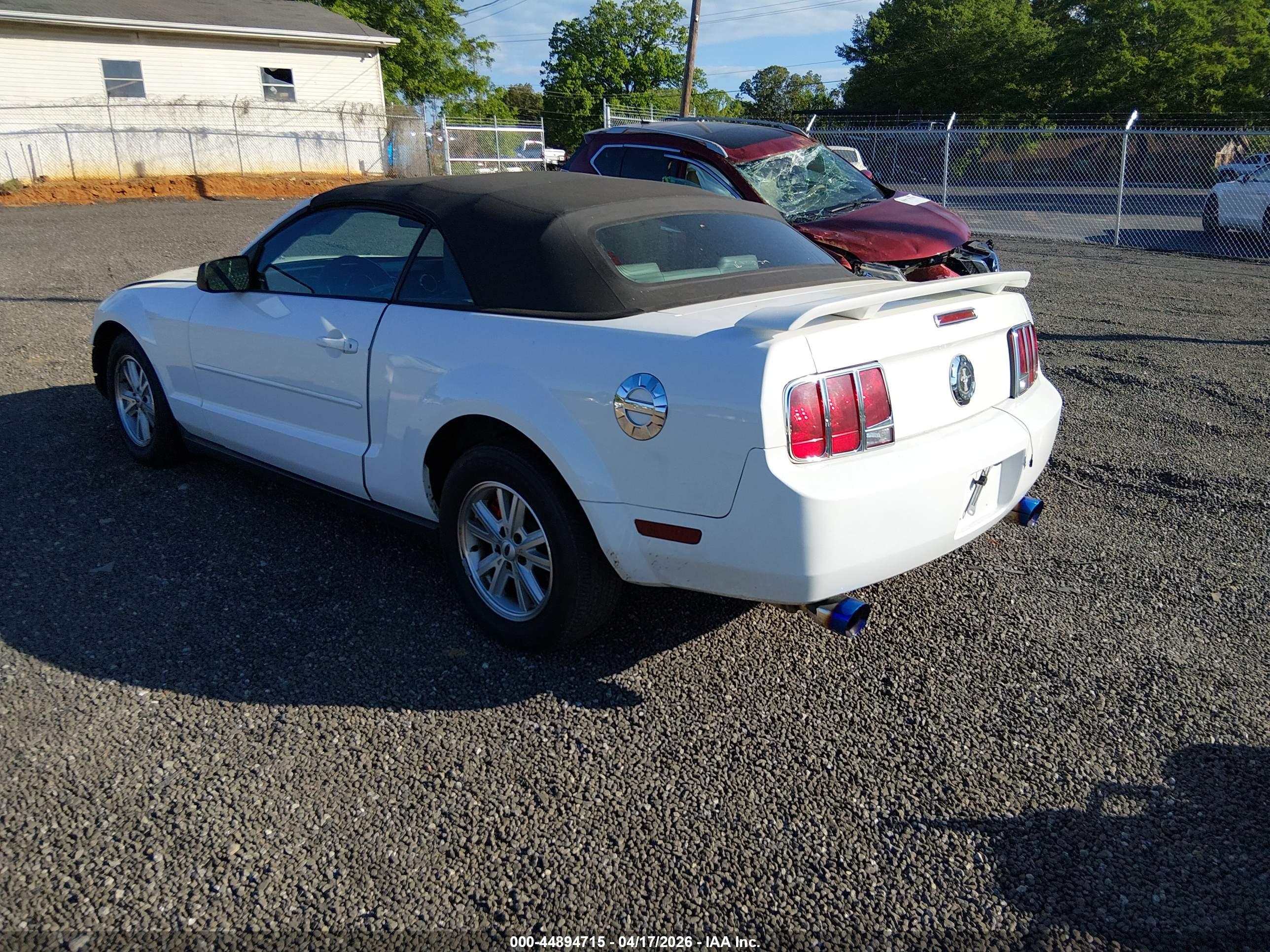FORD MUSTANG image 3