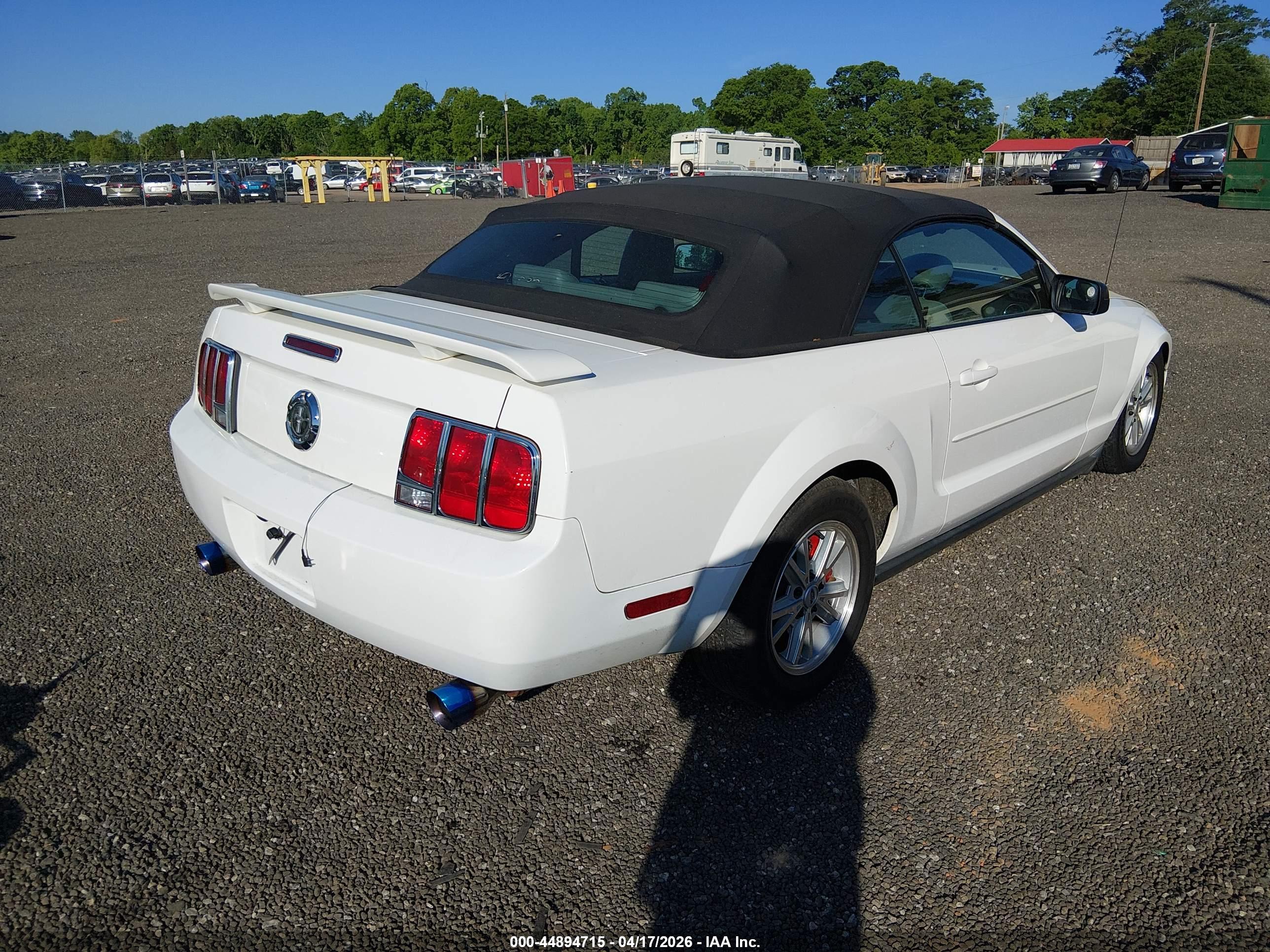 FORD MUSTANG image 4