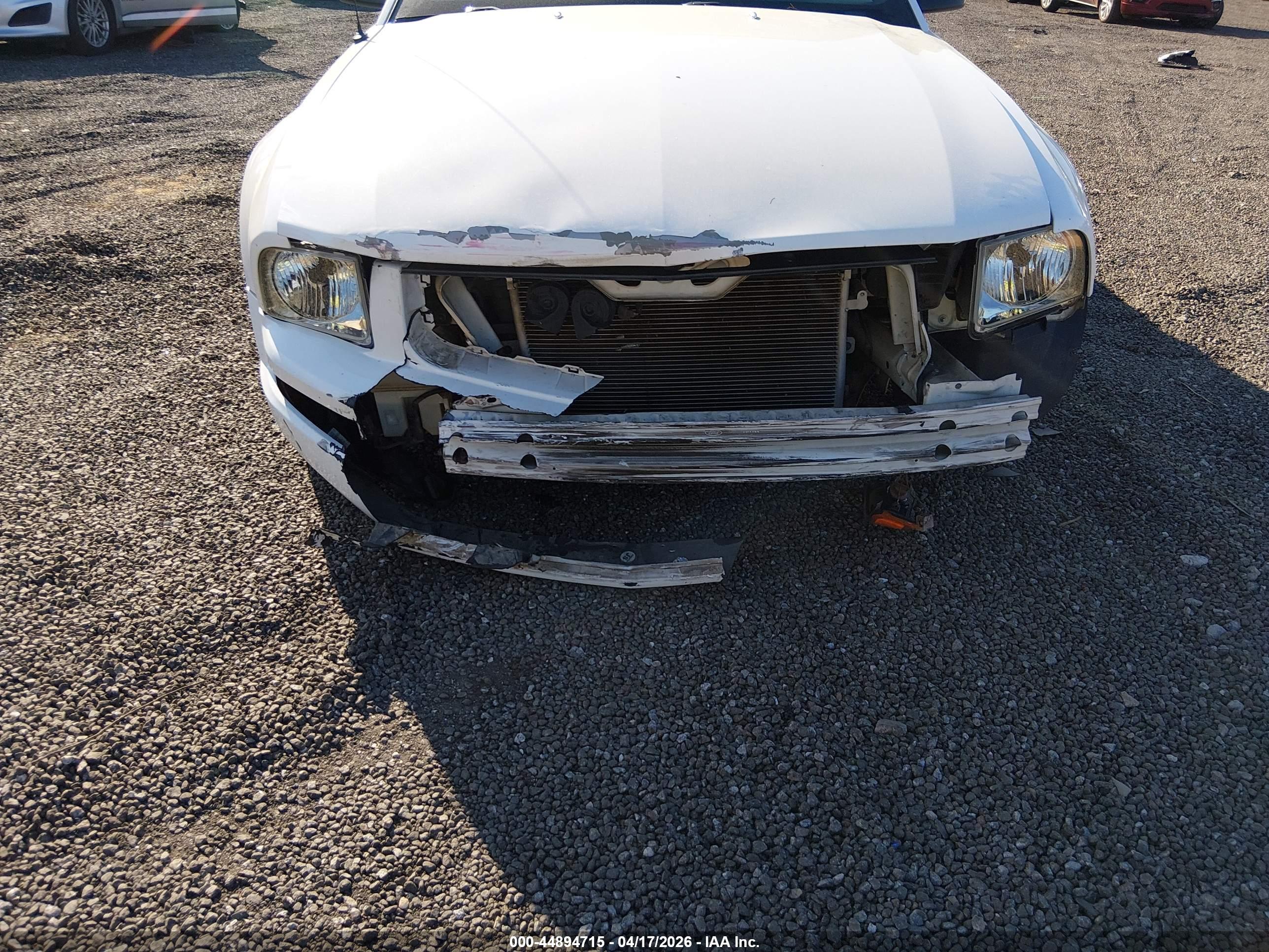 FORD MUSTANG image 6