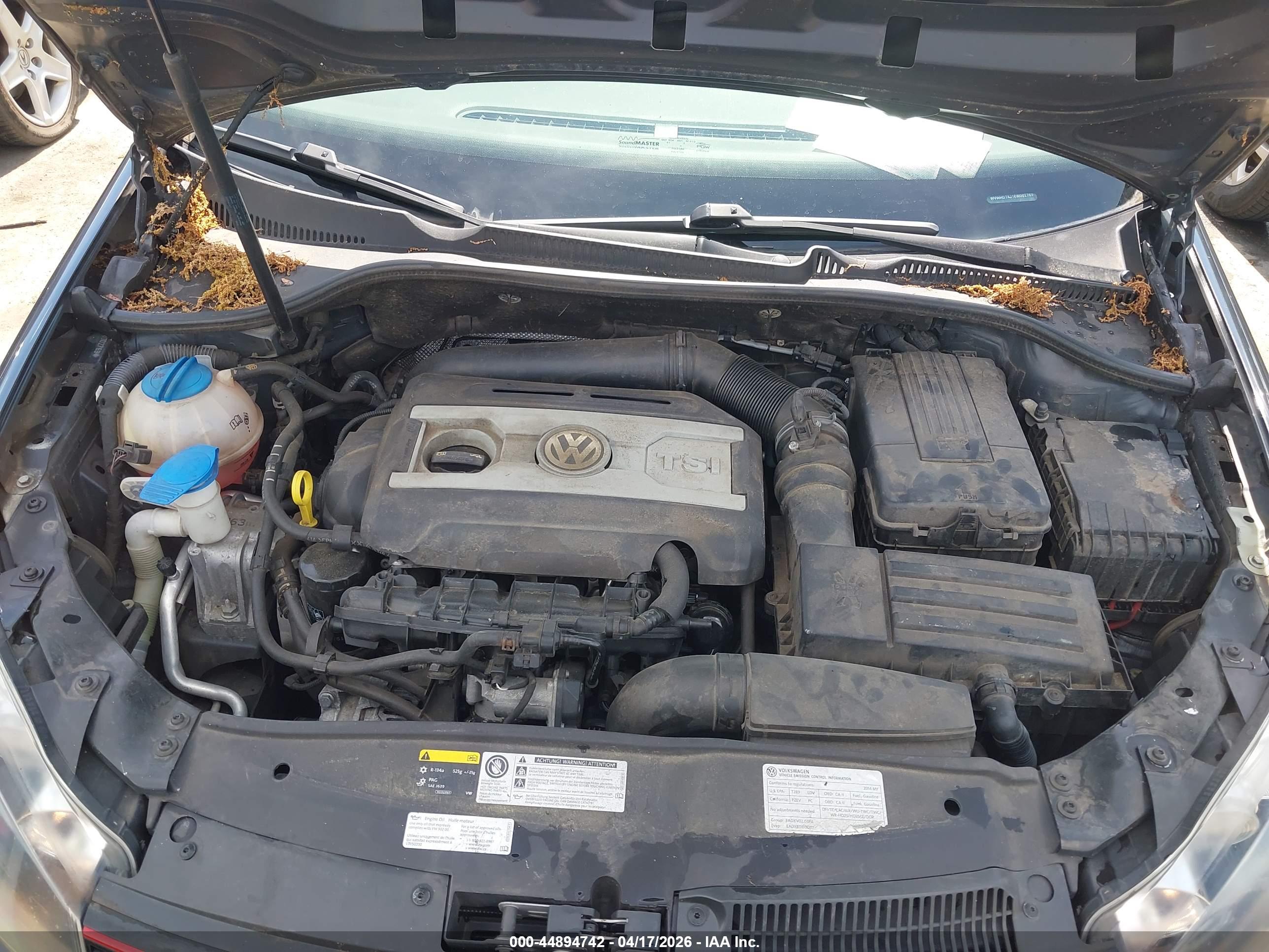 VOLKSWAGEN GTI image 10