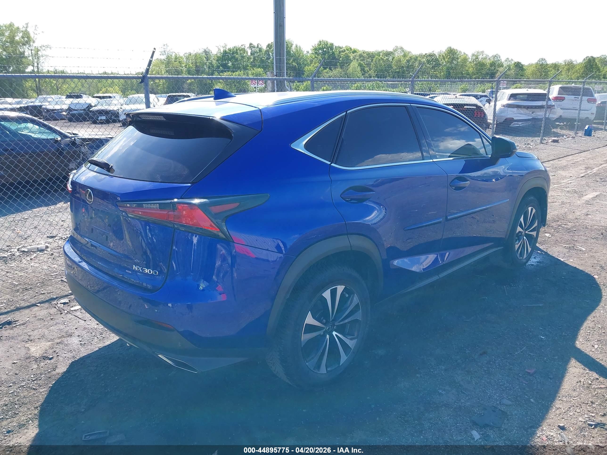 LEXUS NX image 4