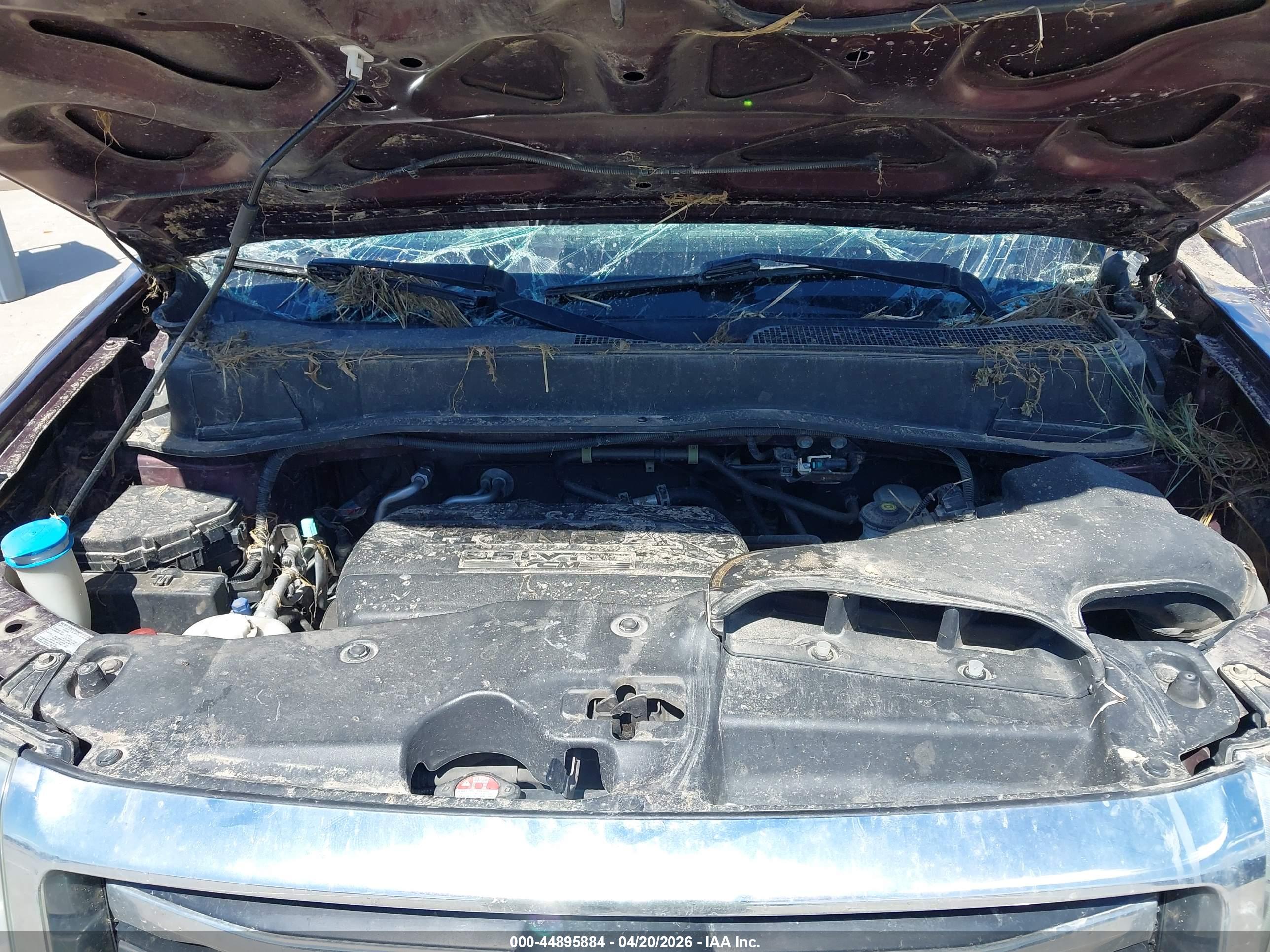 HONDA PILOT image 10