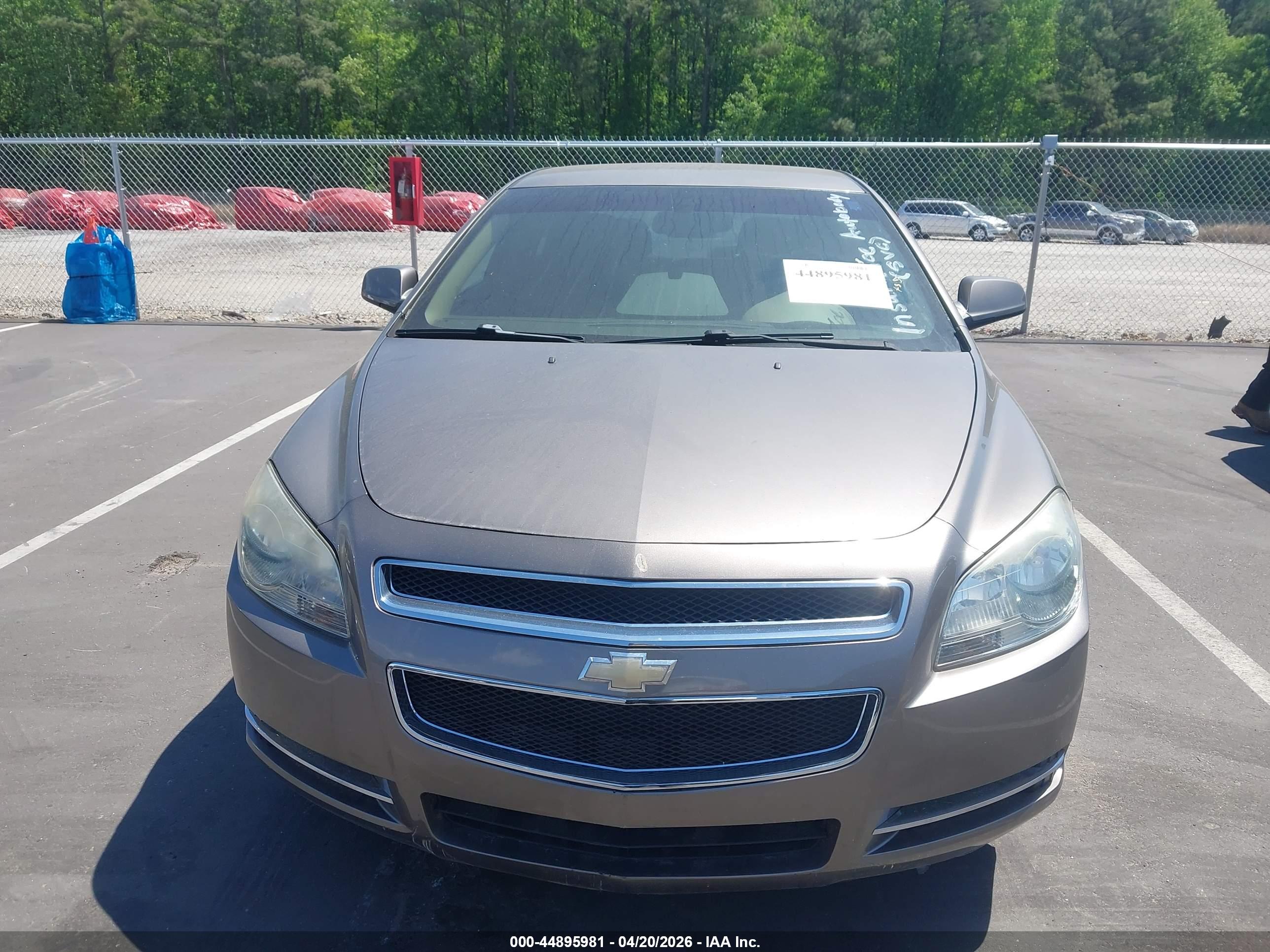 CHEVROLET MALIBU image 6