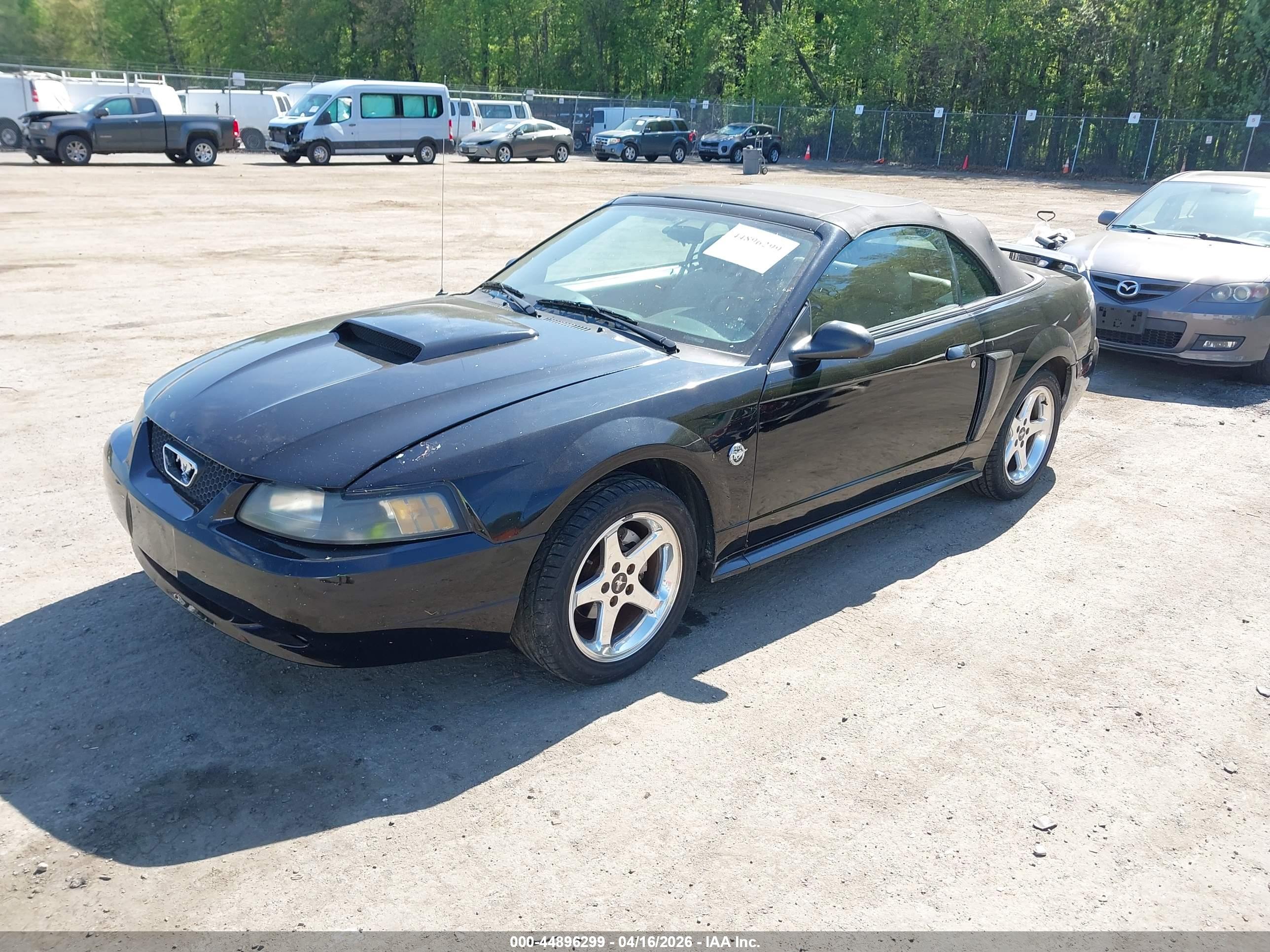 FORD MUSTANG image 2