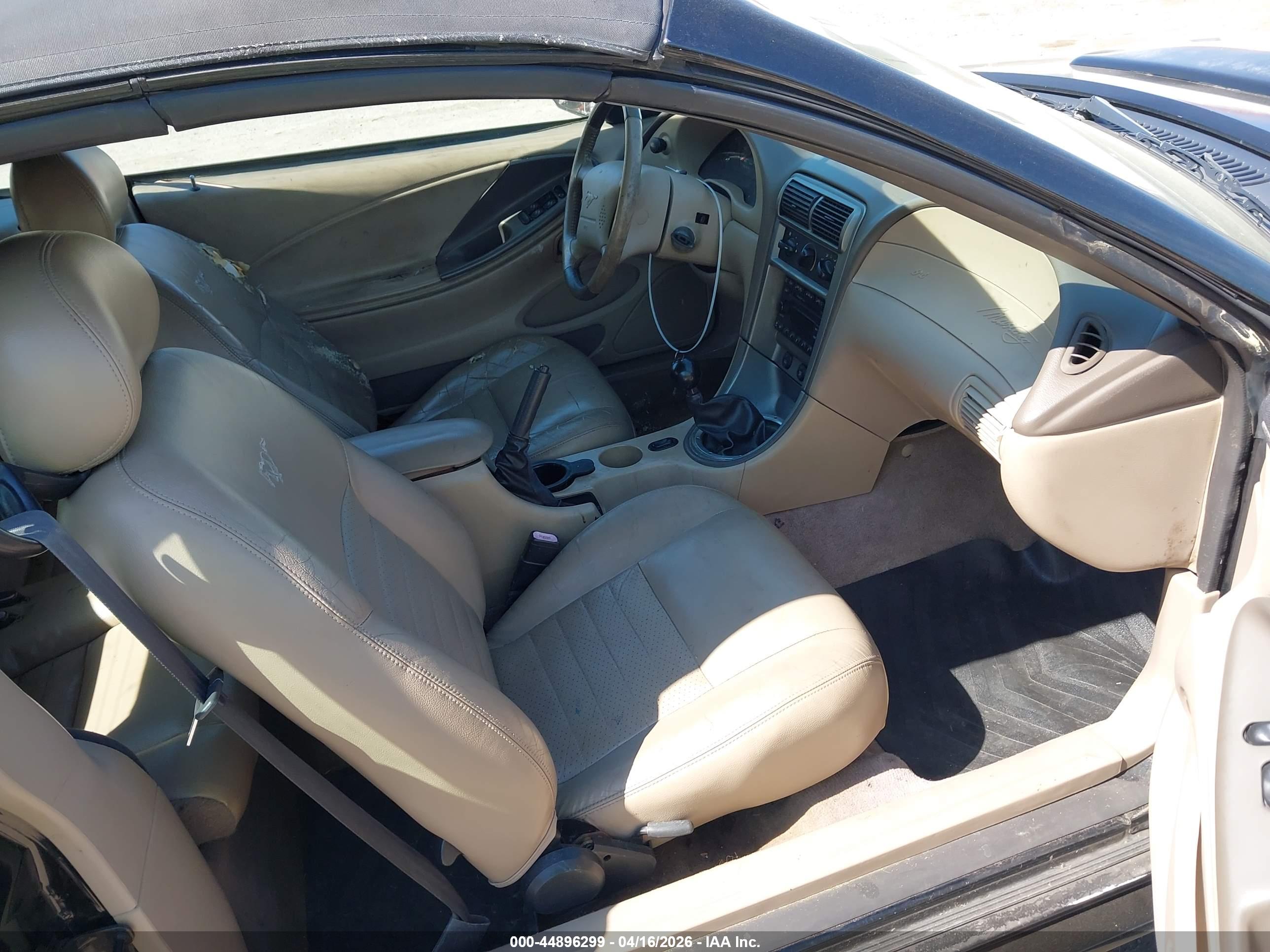 FORD MUSTANG image 5