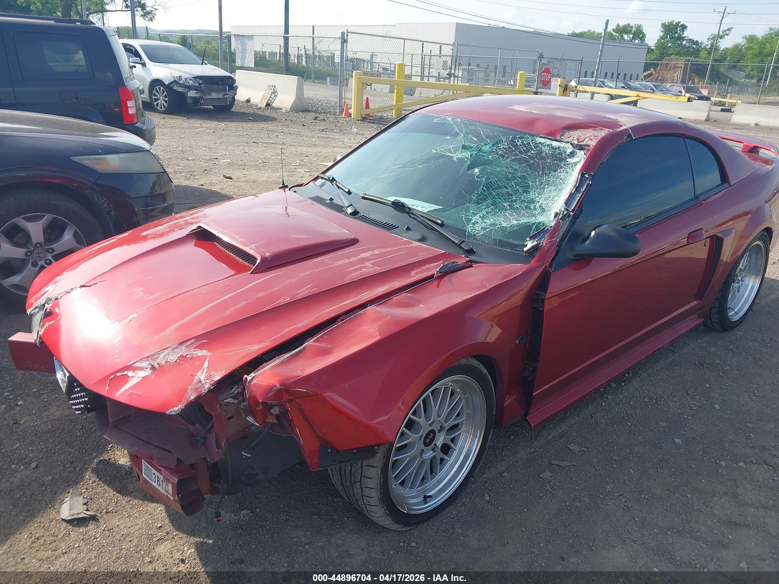 FORD MUSTANG image 6