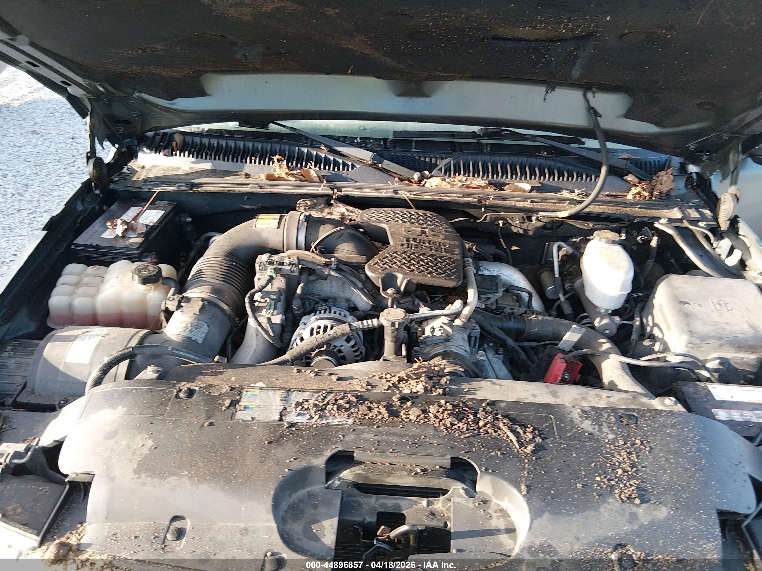 CHEVROLET SILVERADO image 10
