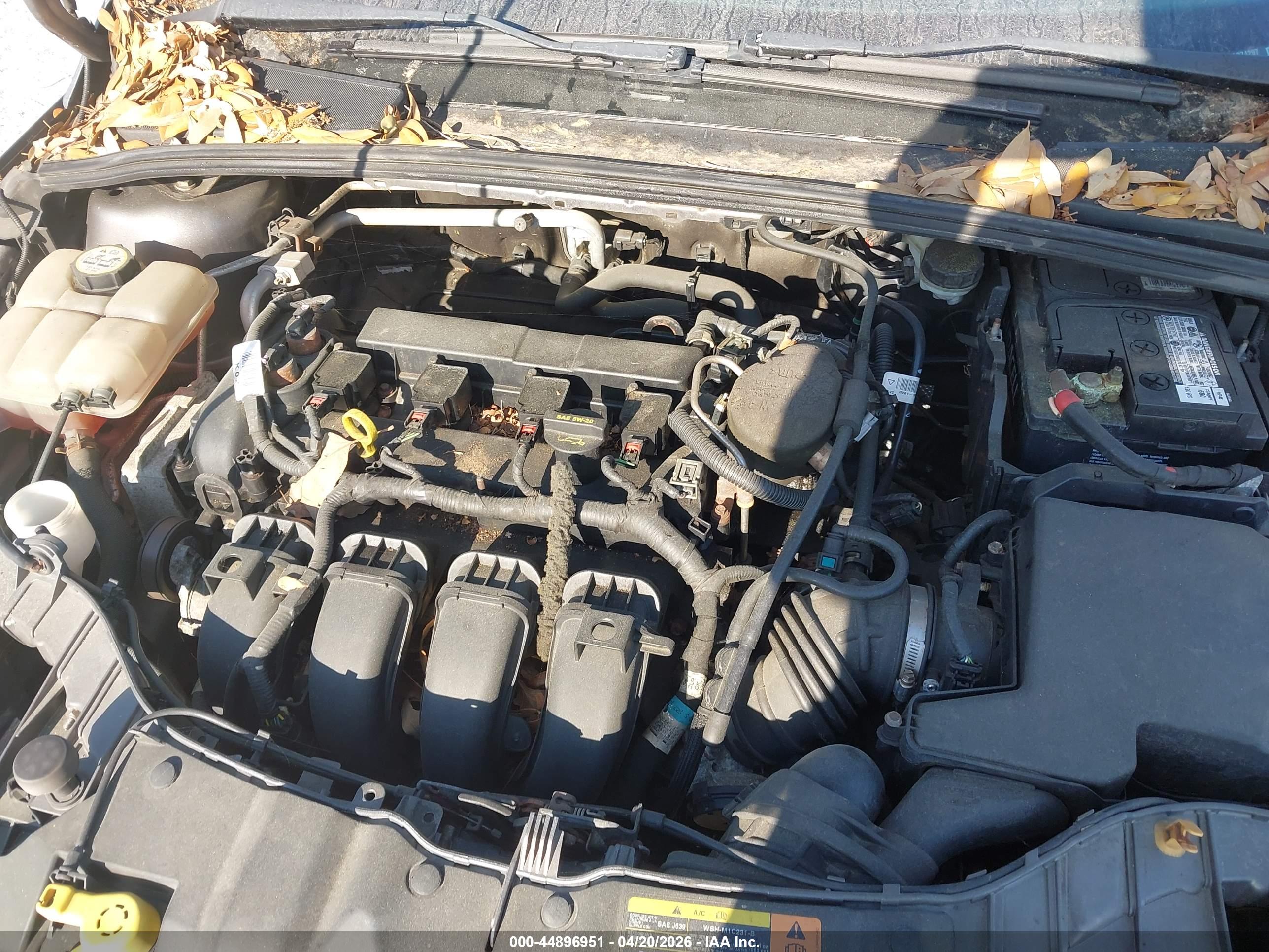 FORD FOCUS image 6