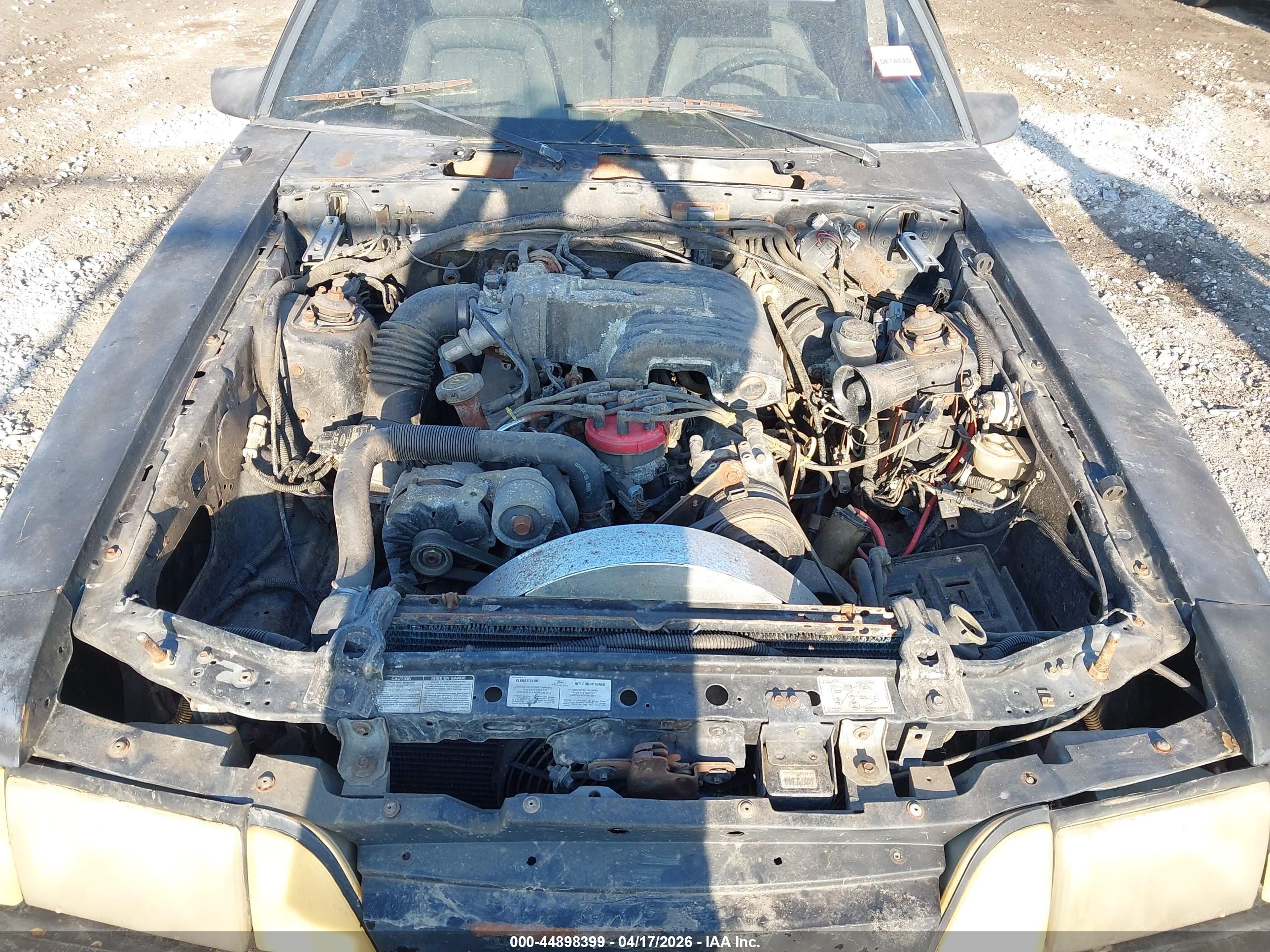FORD MUSTANG image 10