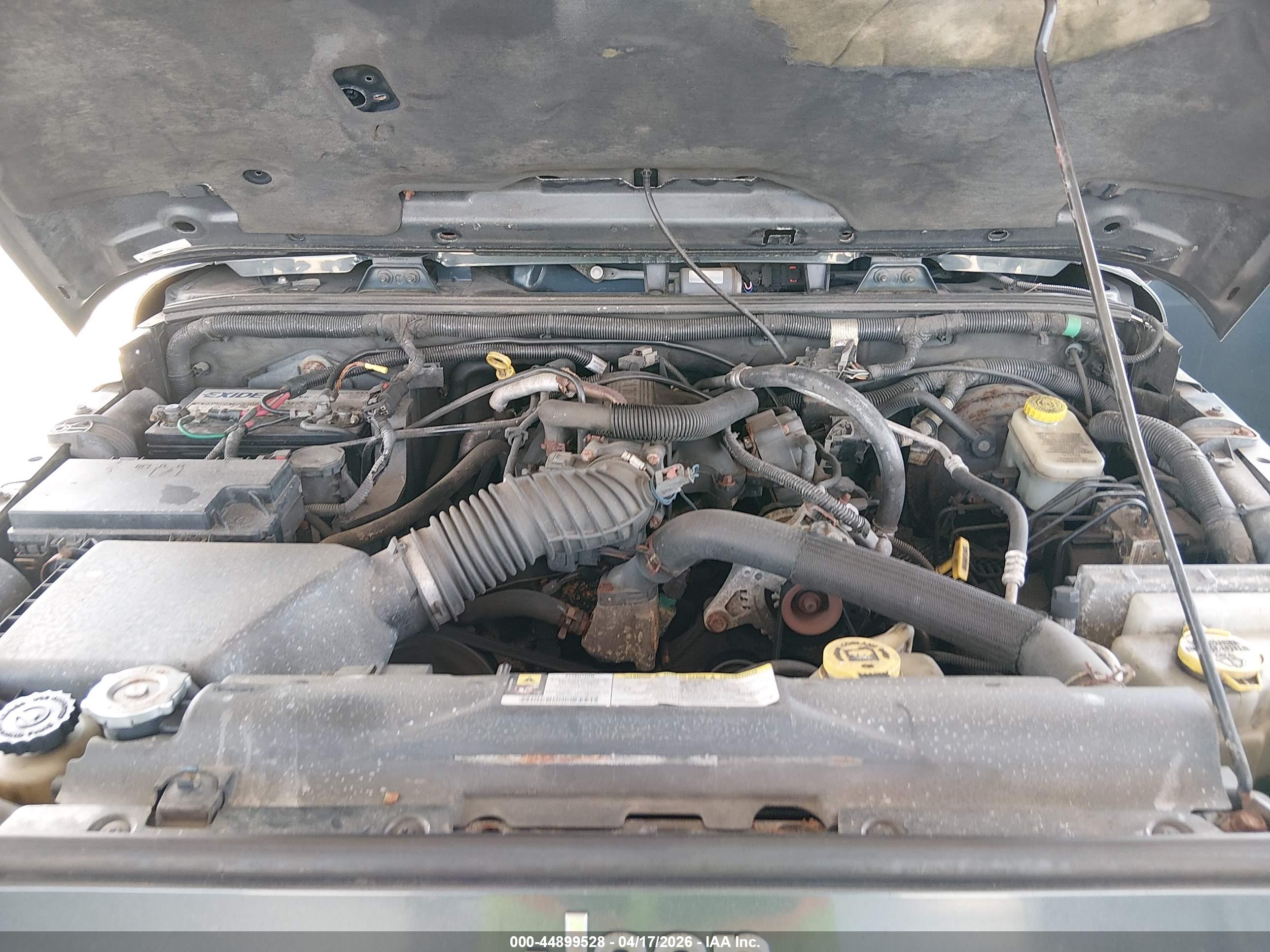 JEEP WRANGLER image 10