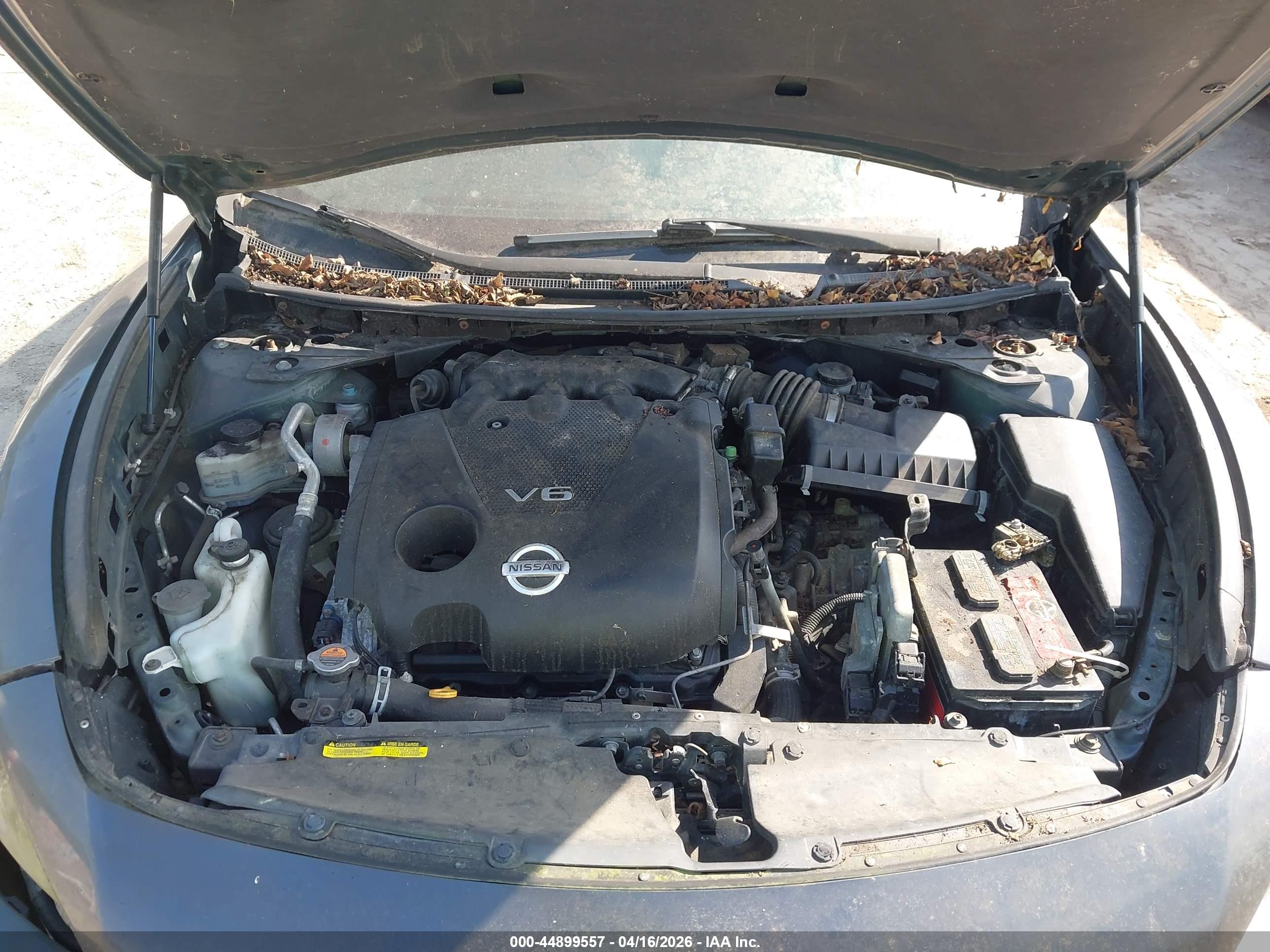 NISSAN MAXIMA image 10