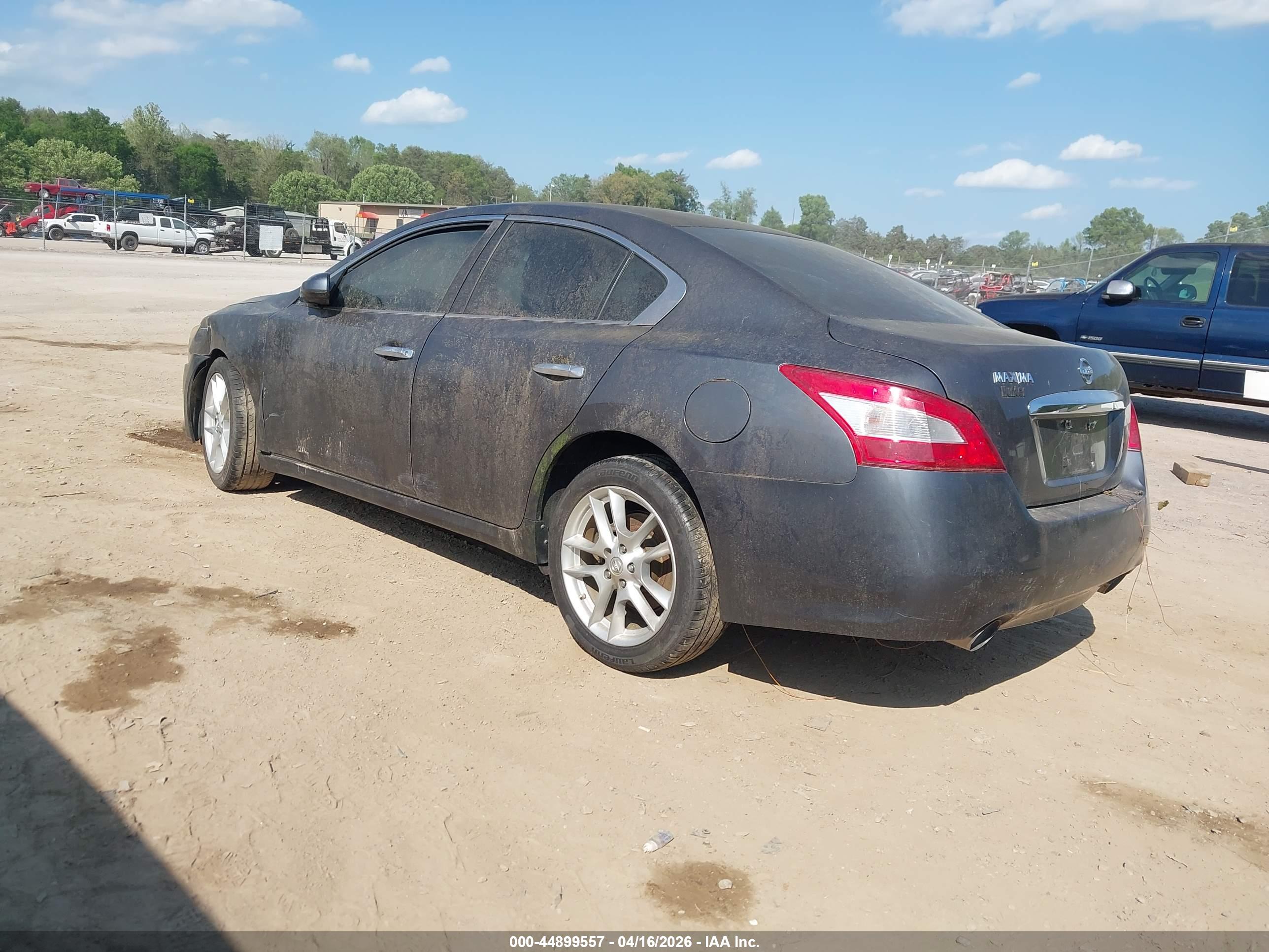 NISSAN MAXIMA image 3