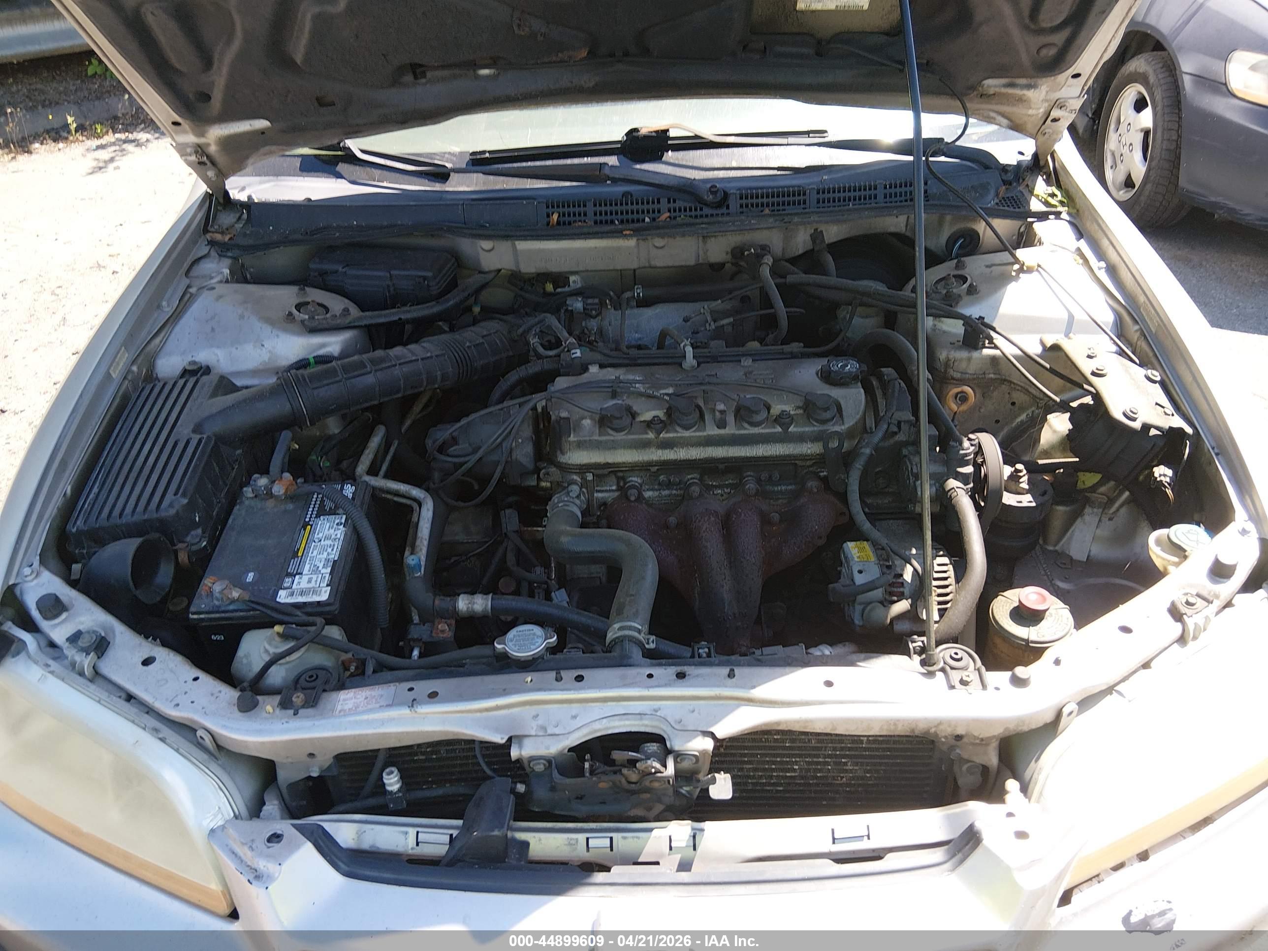 HONDA ACCORD image 10