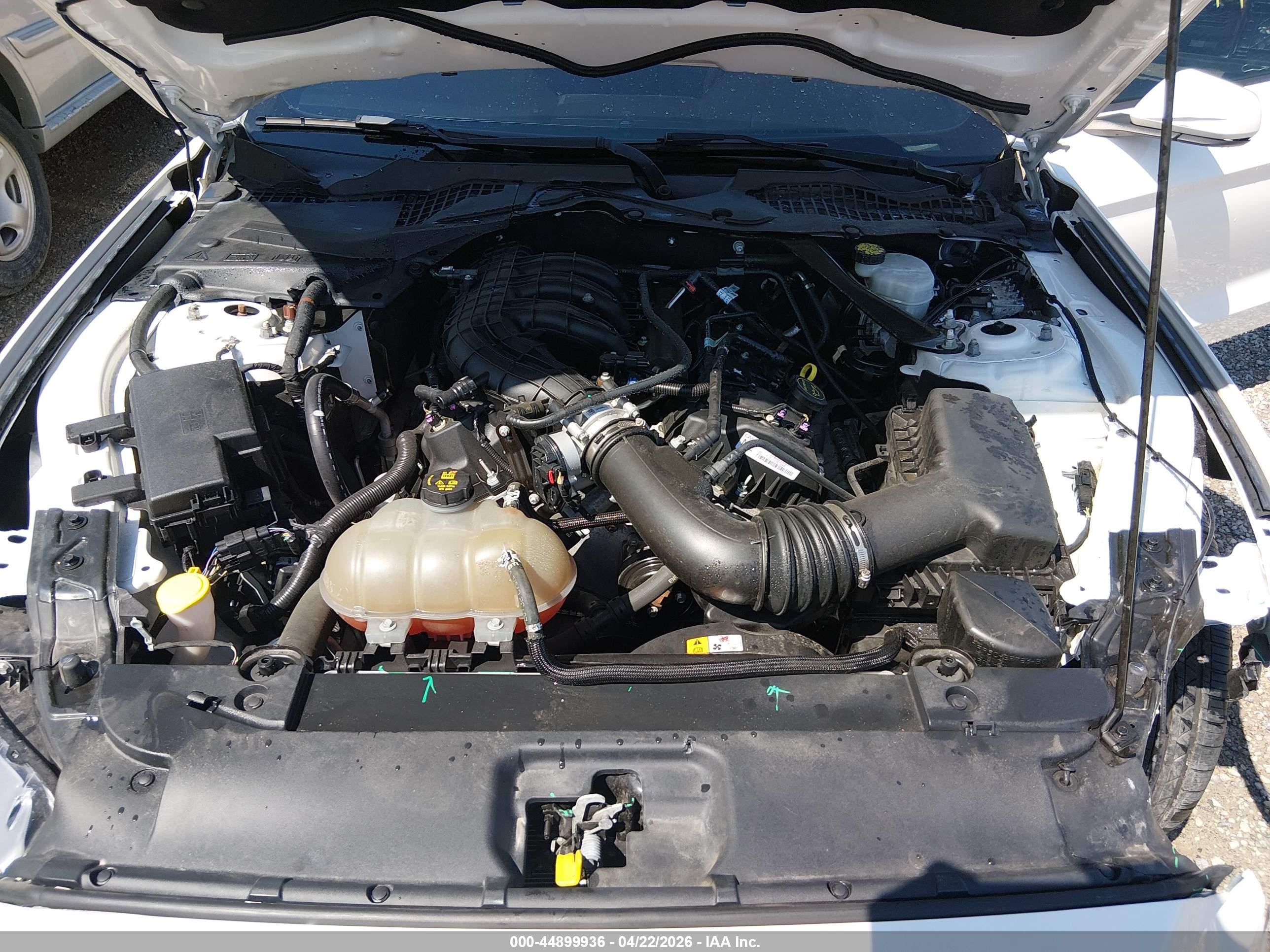 FORD MUSTANG image 10