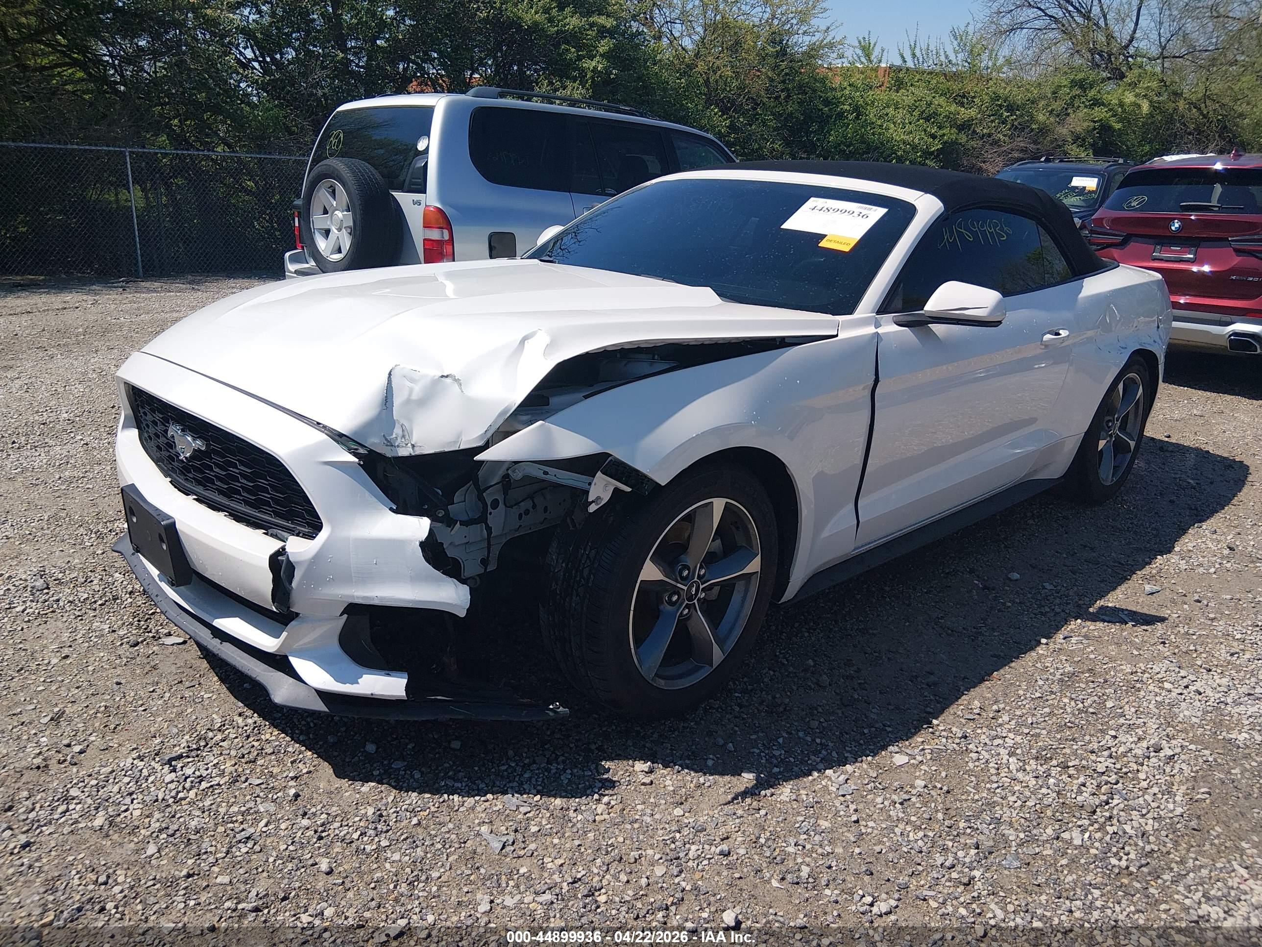 FORD MUSTANG image 2