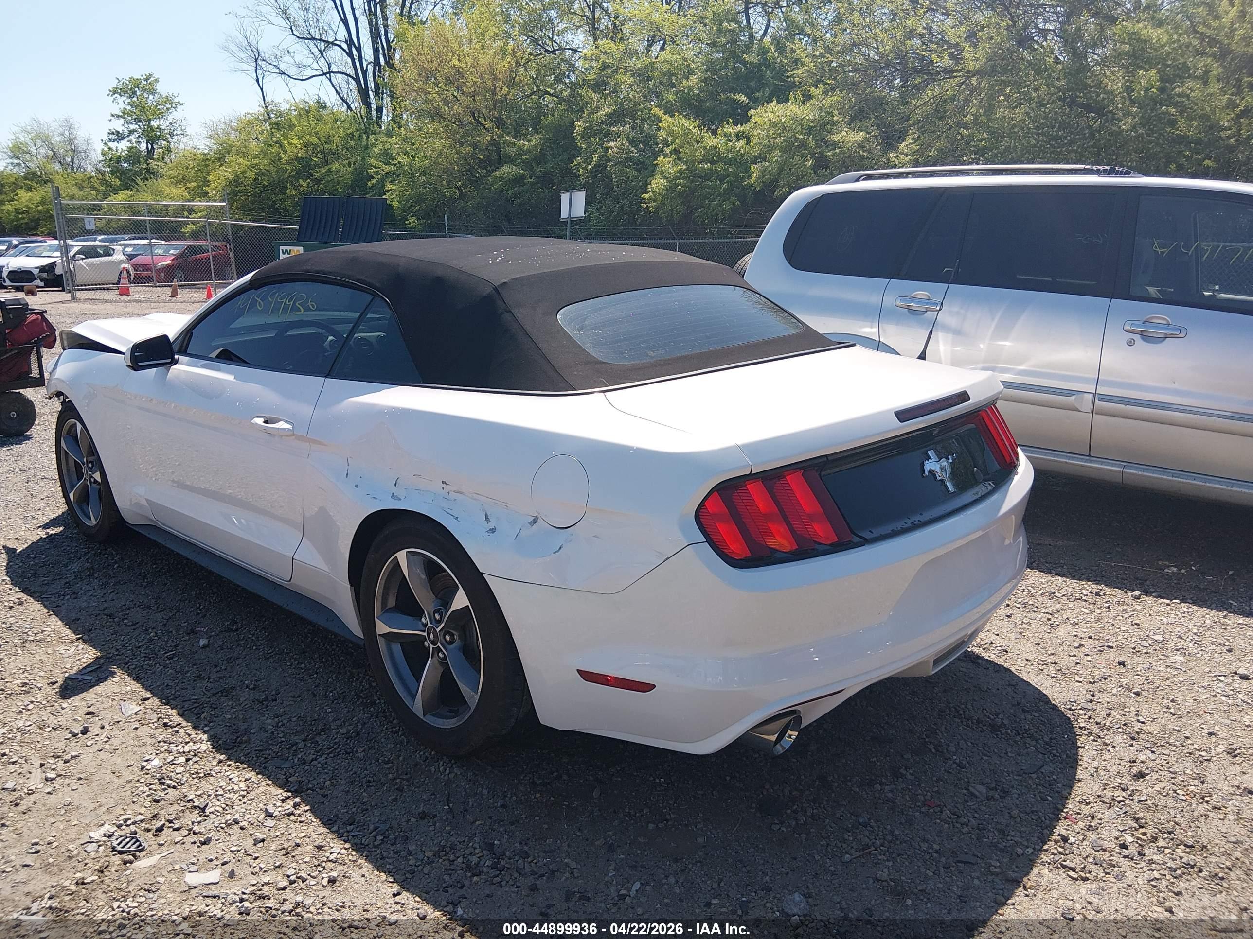 FORD MUSTANG image 3