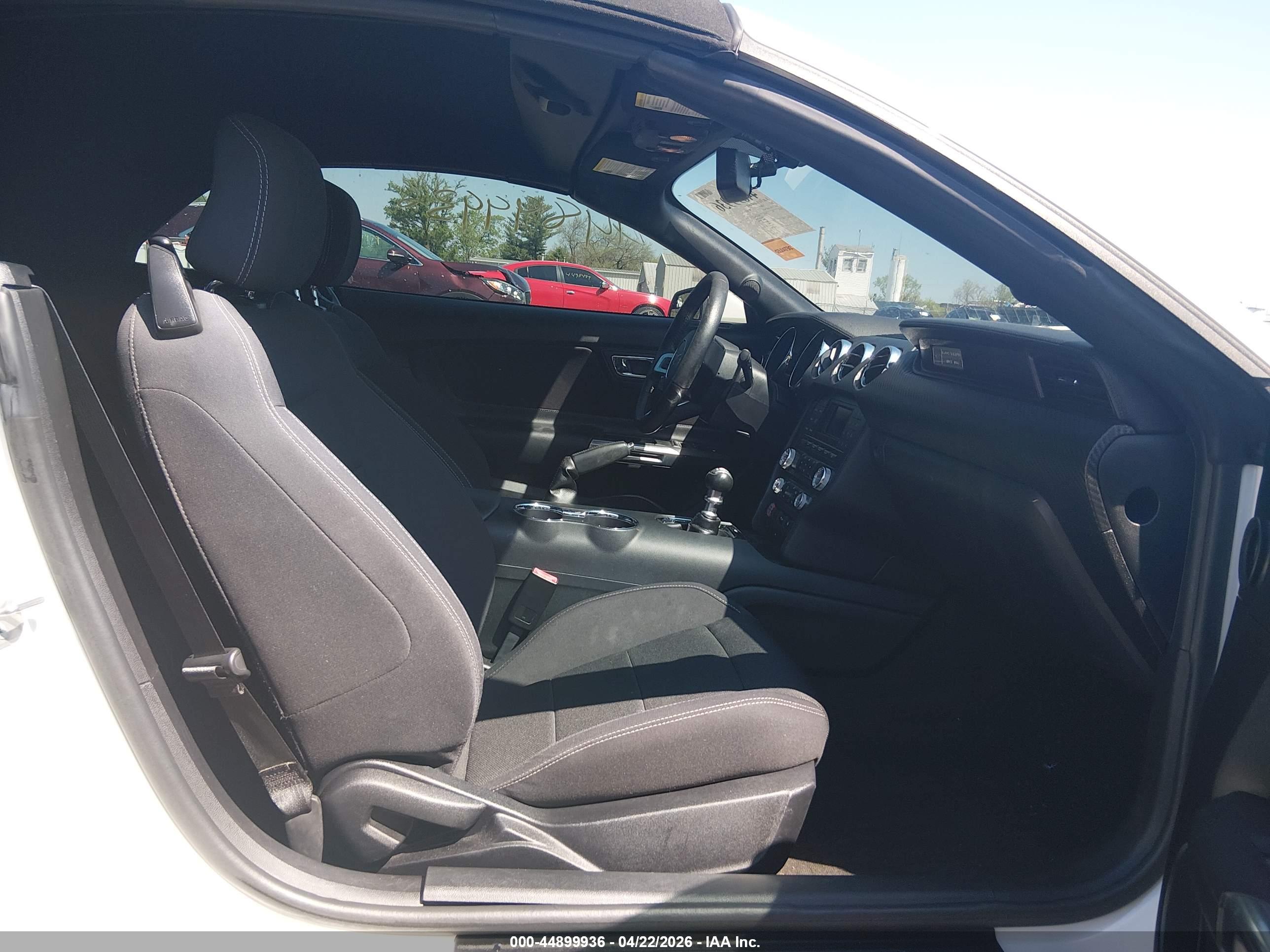FORD MUSTANG image 5