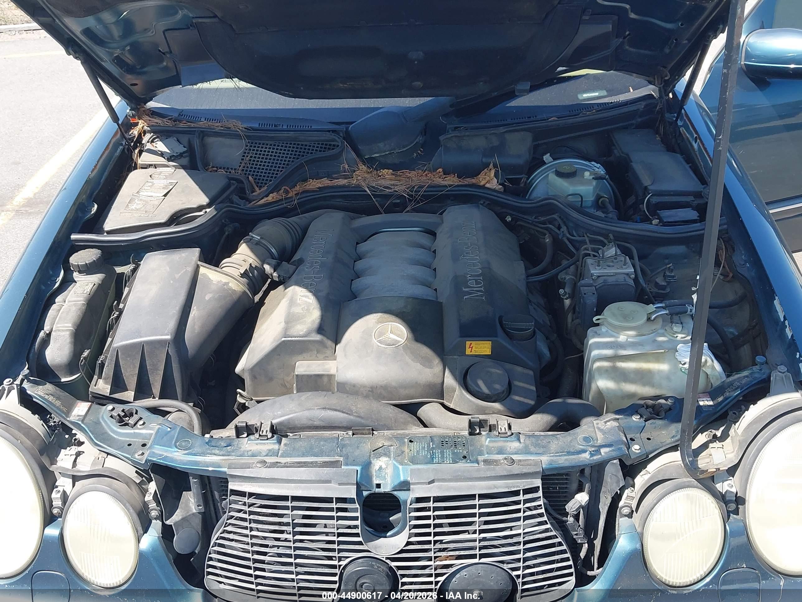 MERCEDES-BENZ E image 10