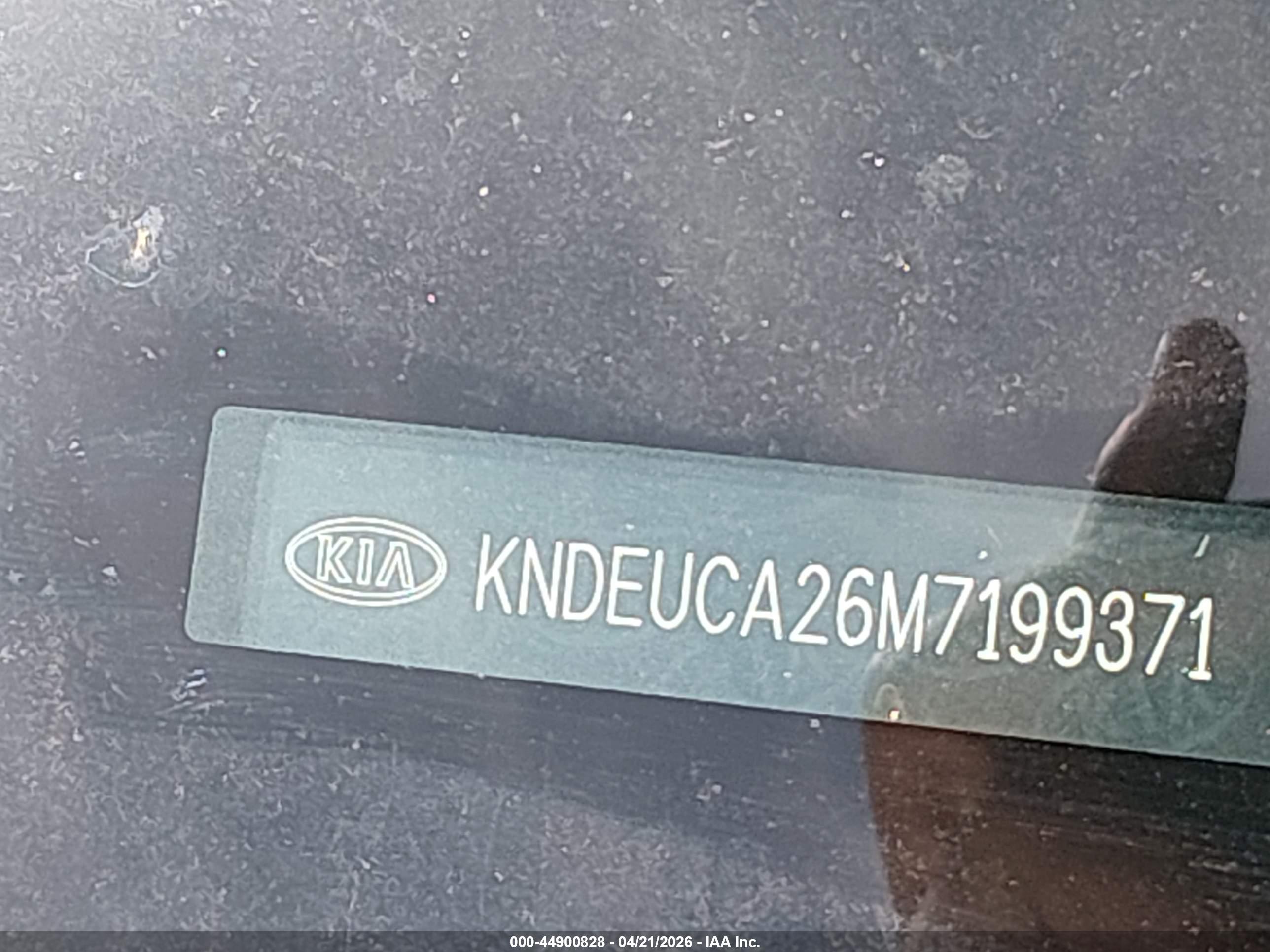 KIA SELTOS image 9