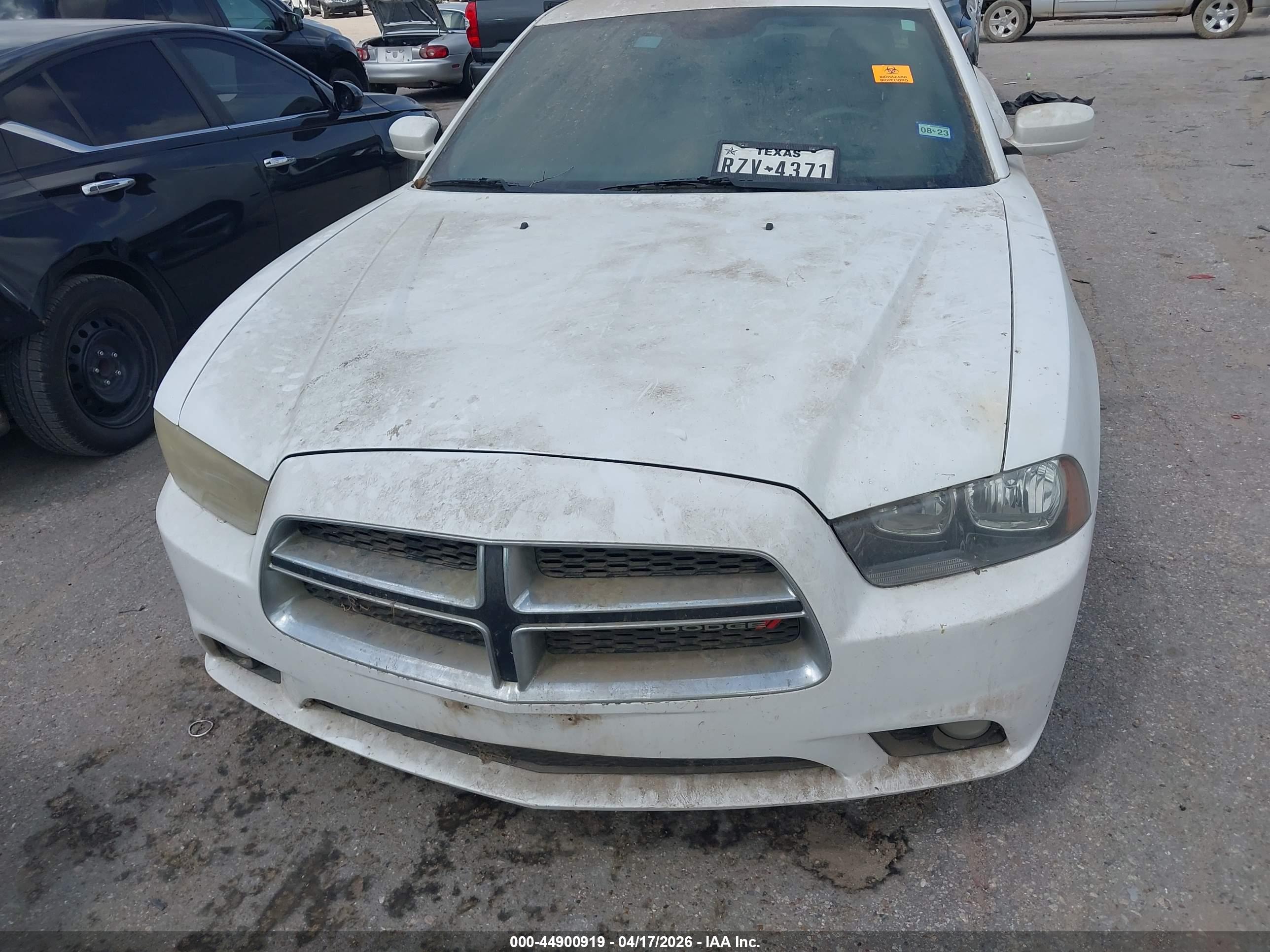DODGE CHARGER image 10
