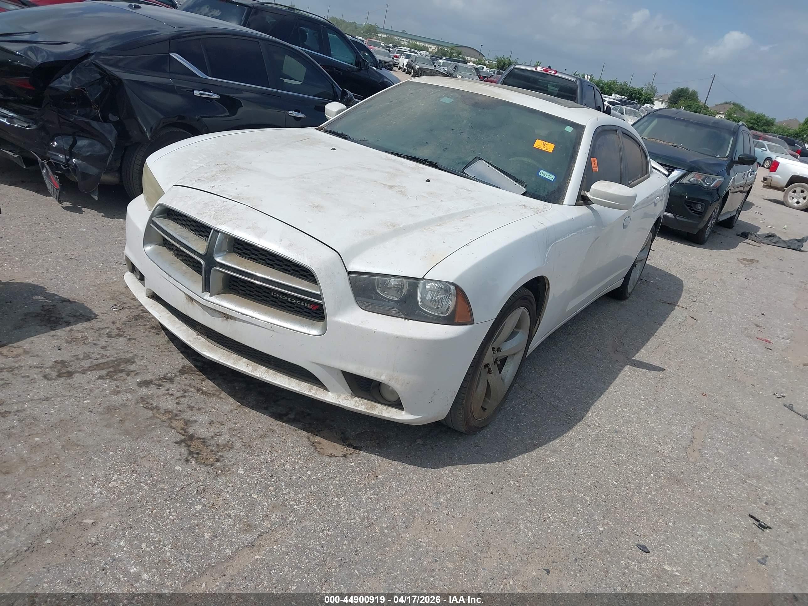 DODGE CHARGER image 2