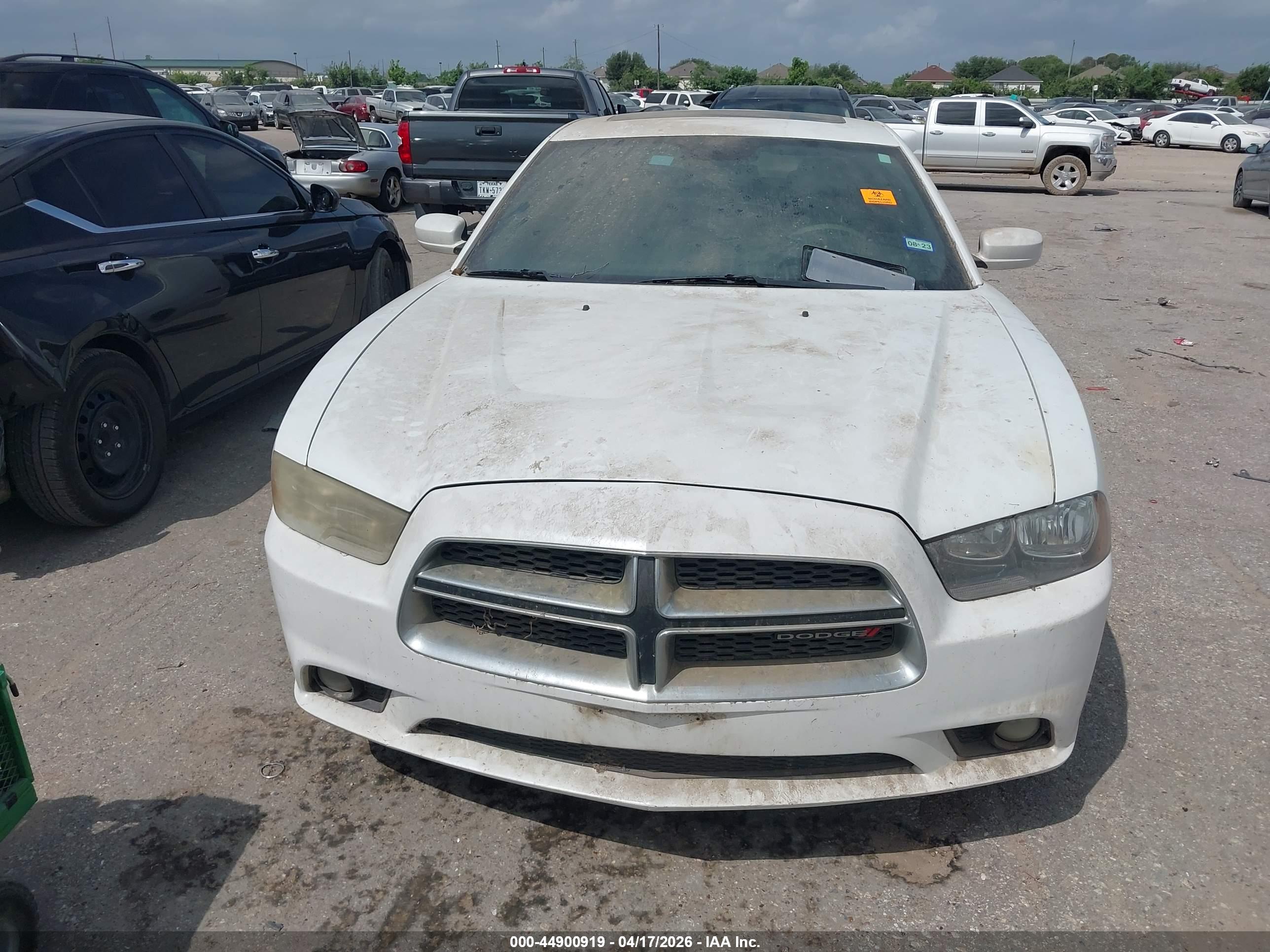 DODGE CHARGER image 6