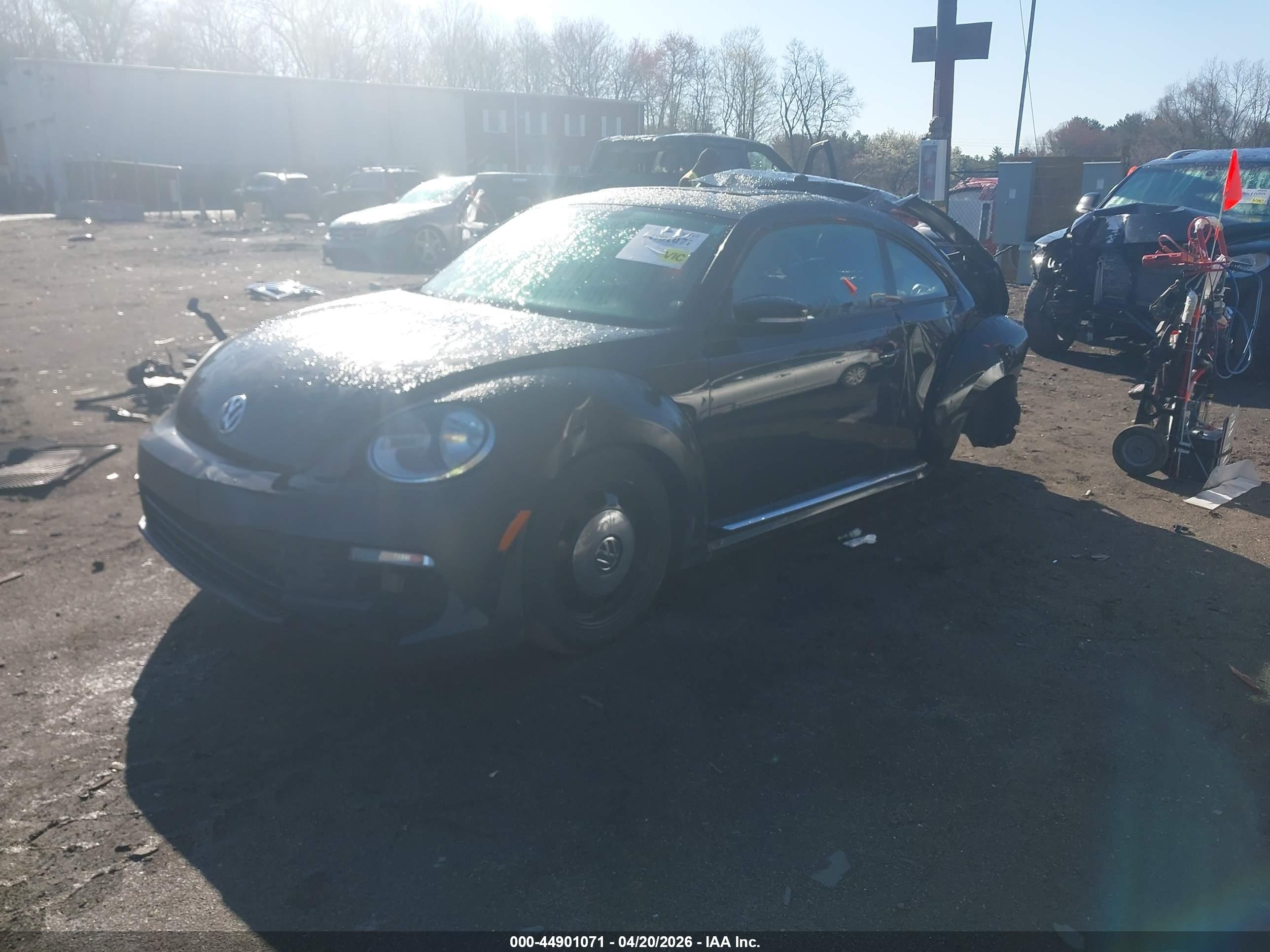 VOLKSWAGEN BEETLE image 2