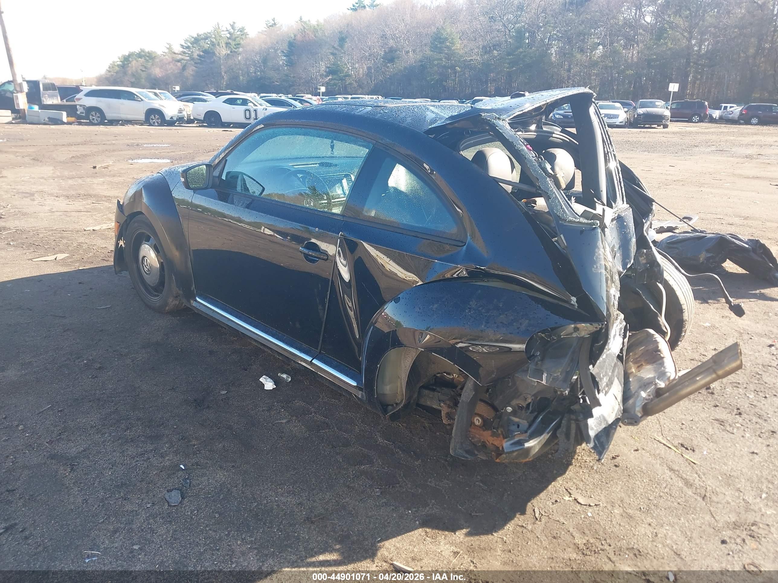 VOLKSWAGEN BEETLE image 3