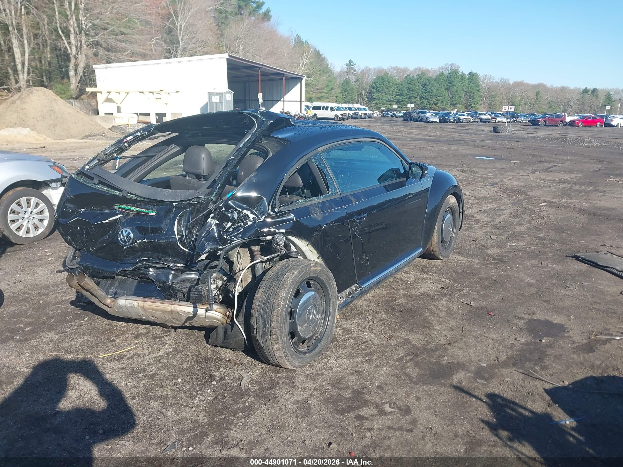 VOLKSWAGEN BEETLE image 4