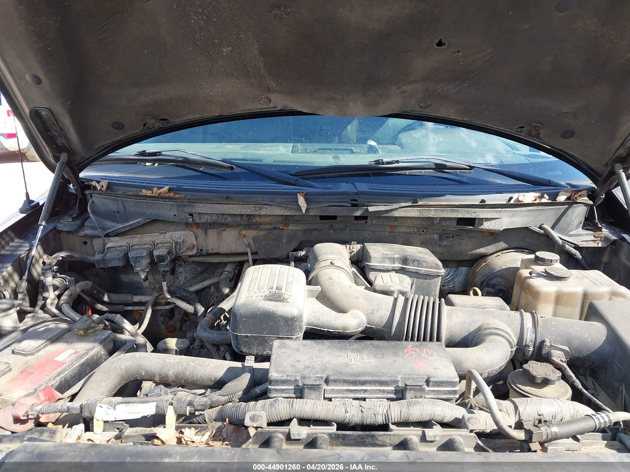 FORD F-150 image 10