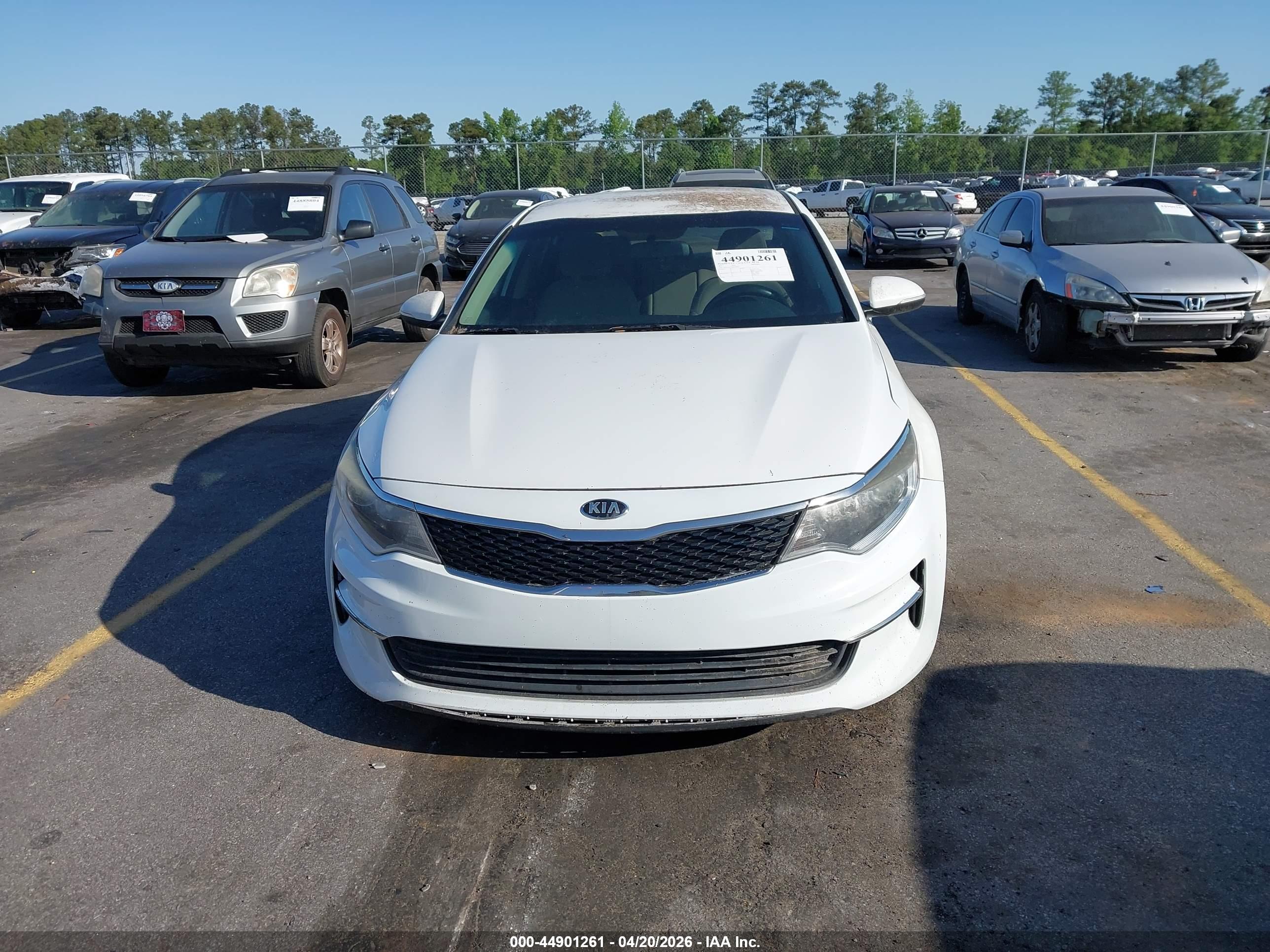 KIA OPTIMA image 6