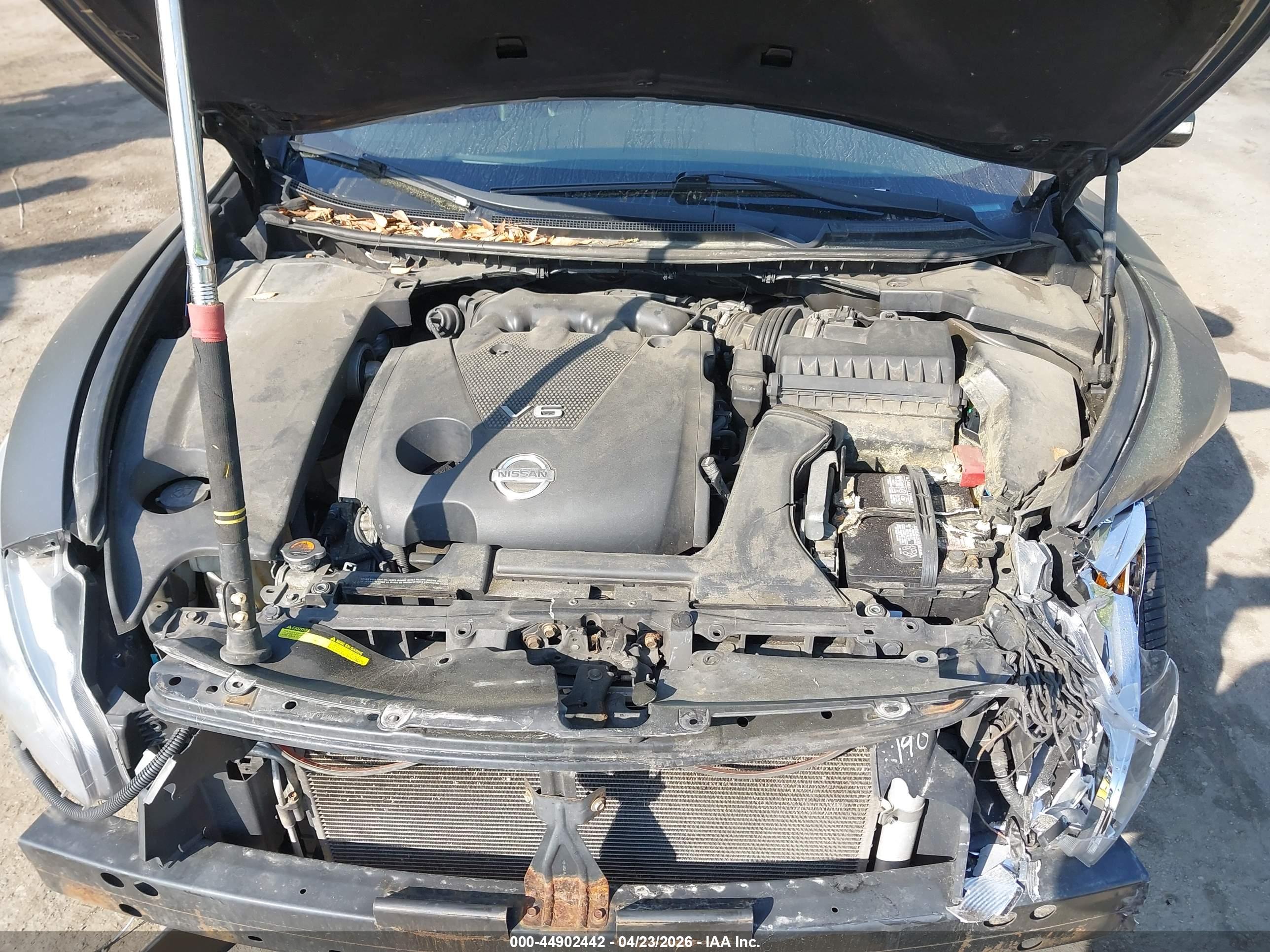 NISSAN MAXIMA image 10