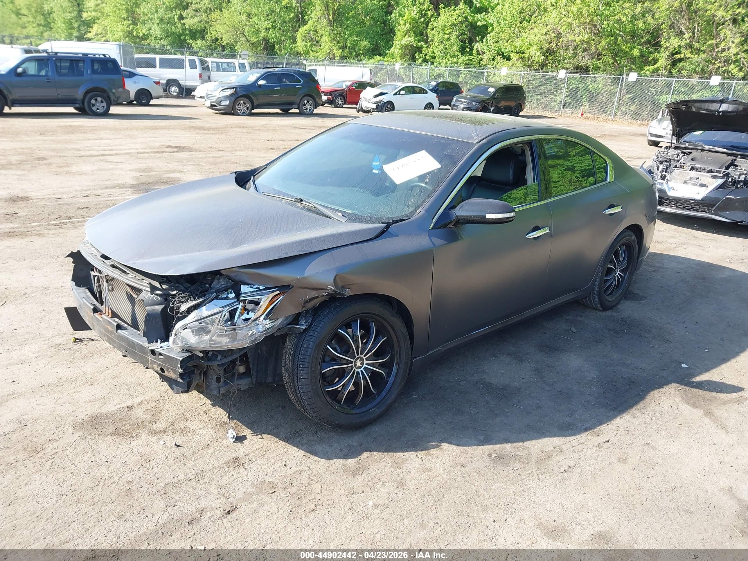 NISSAN MAXIMA image 2