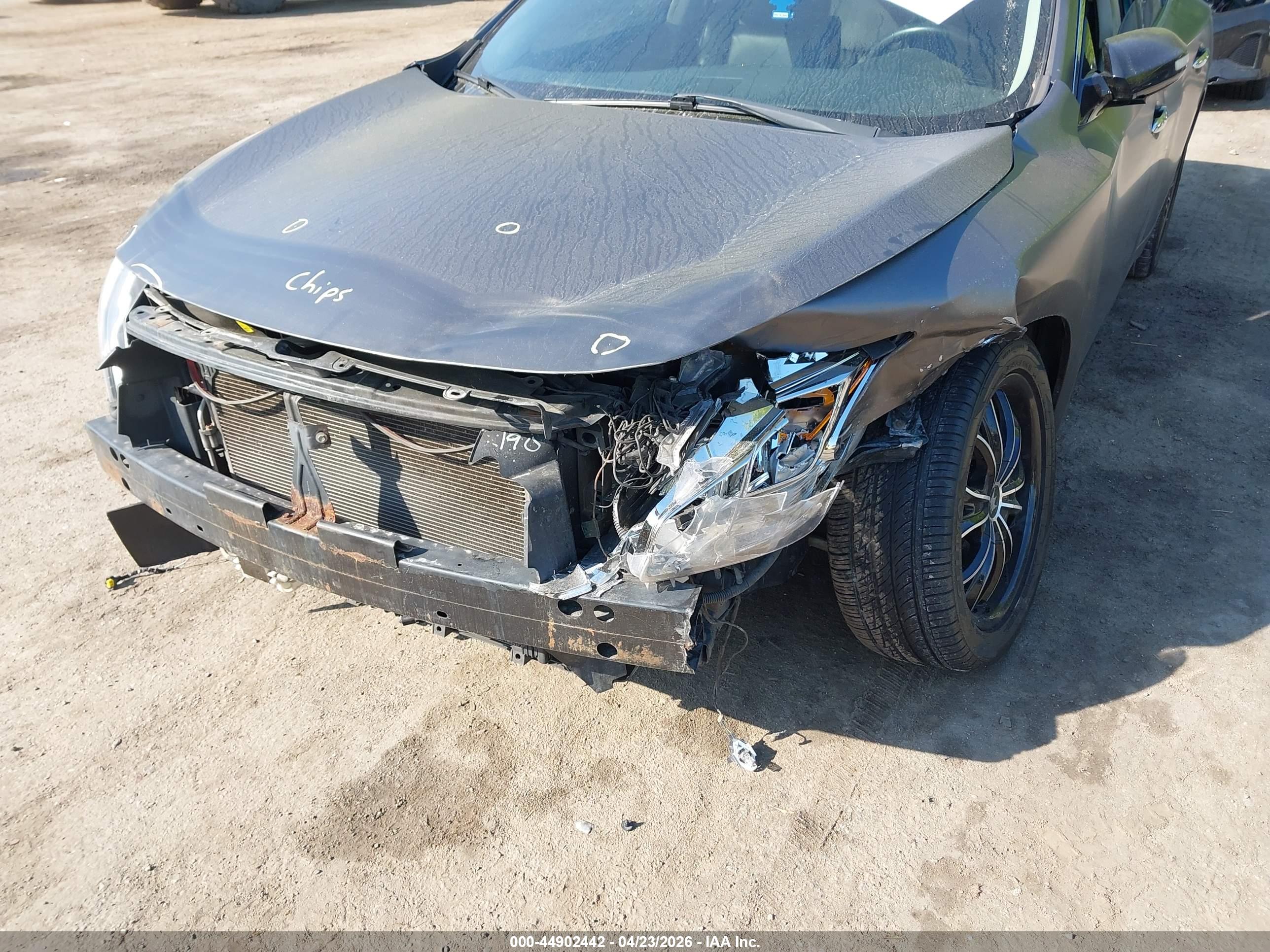 NISSAN MAXIMA image 6